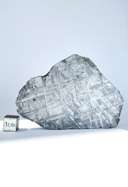Muonionalusta meteorite, Sweden. Slice 79.40g