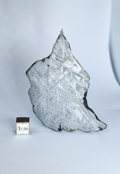 Muonionalusta meteorite, Sweden. Slice 77.10g