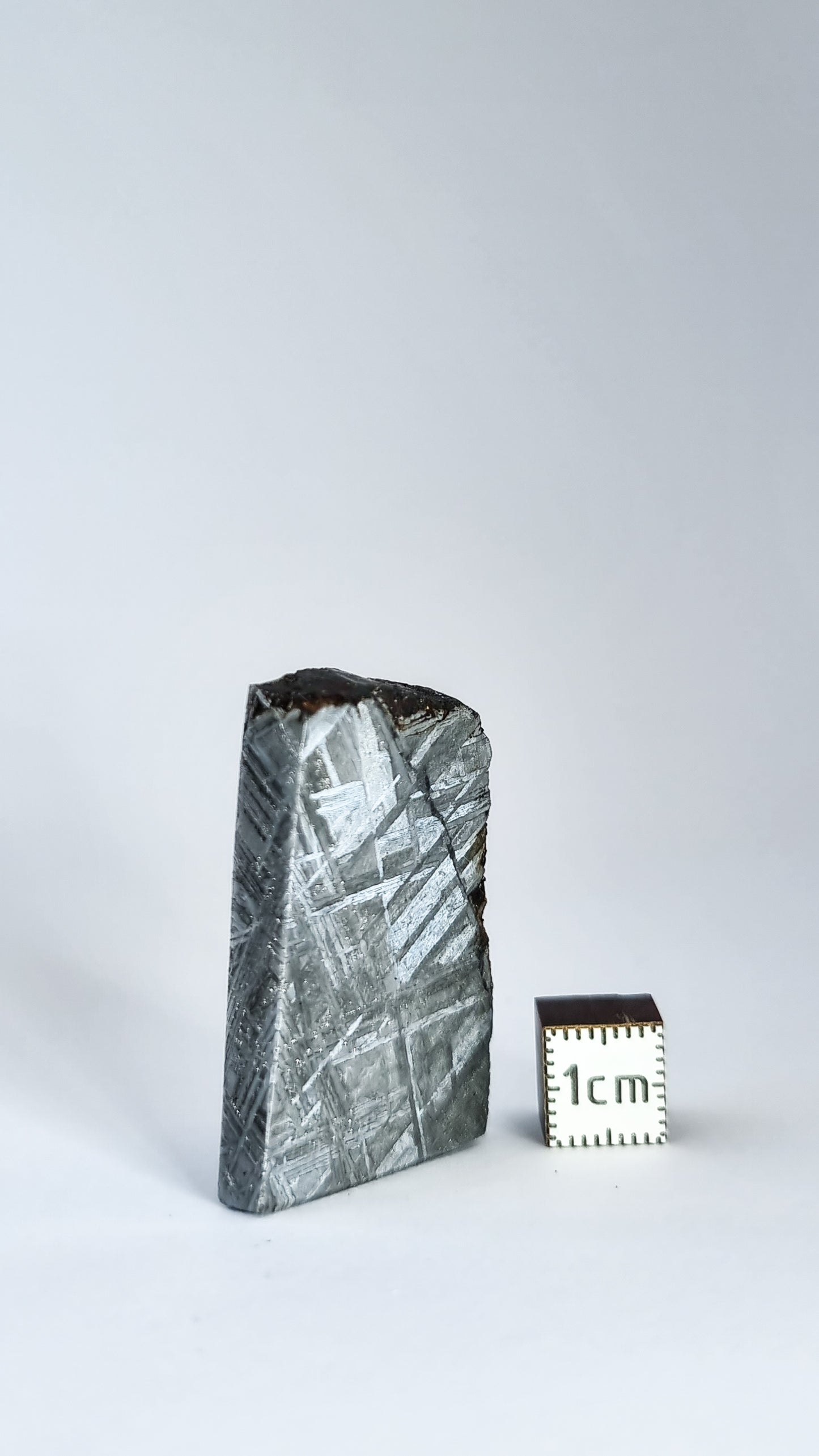 Muonionalusta meteorite, Sweden. Slice 41.47g