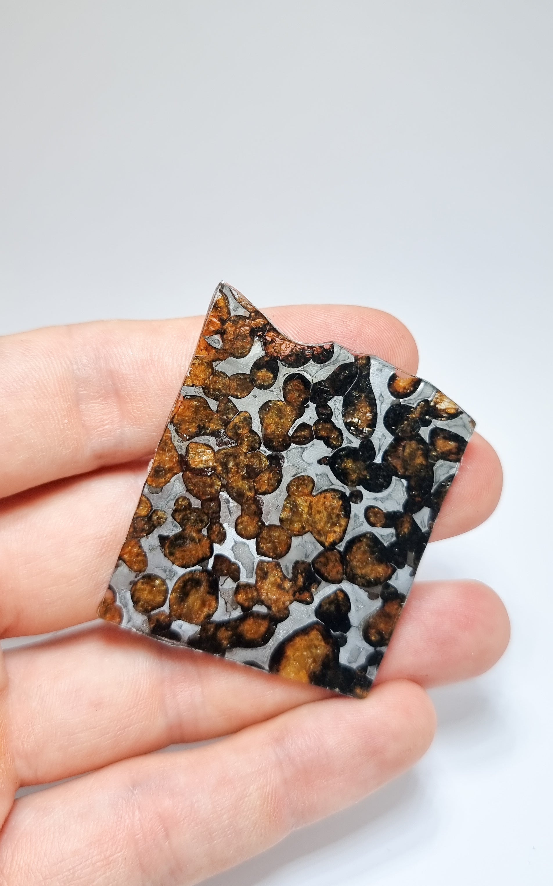 Sericho Pallasite, Kenya. 12,45 grams.