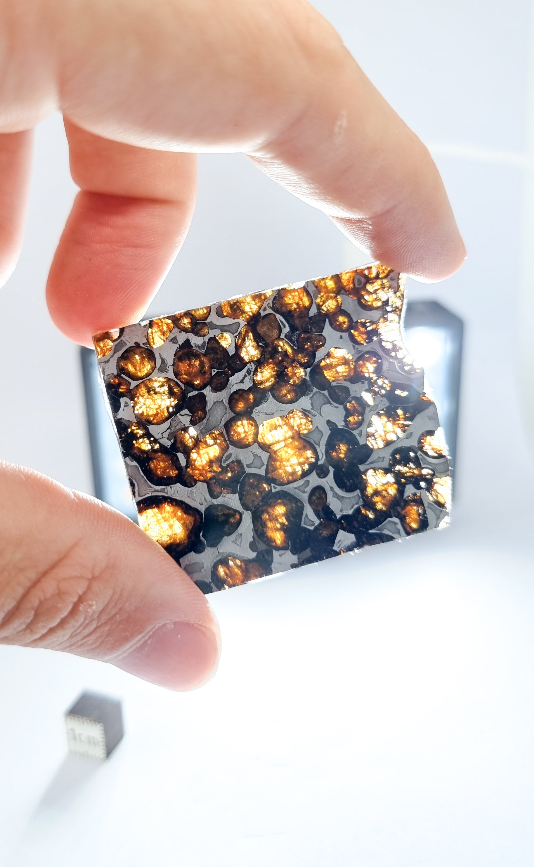 Sericho Pallasite, Kenya. 12,45 grams.