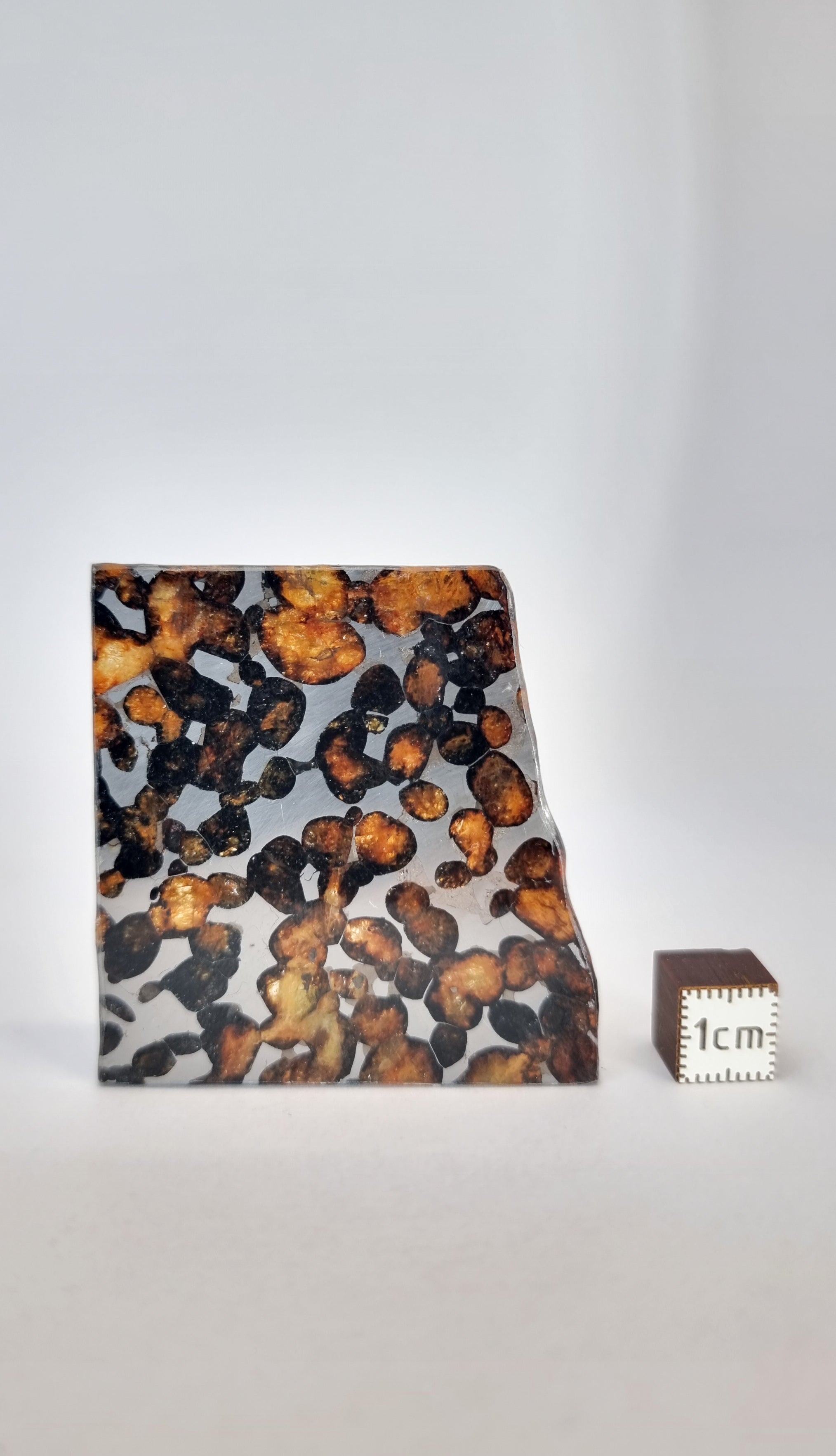 Sericho Pallasite, Kenya. 15.31g slice.