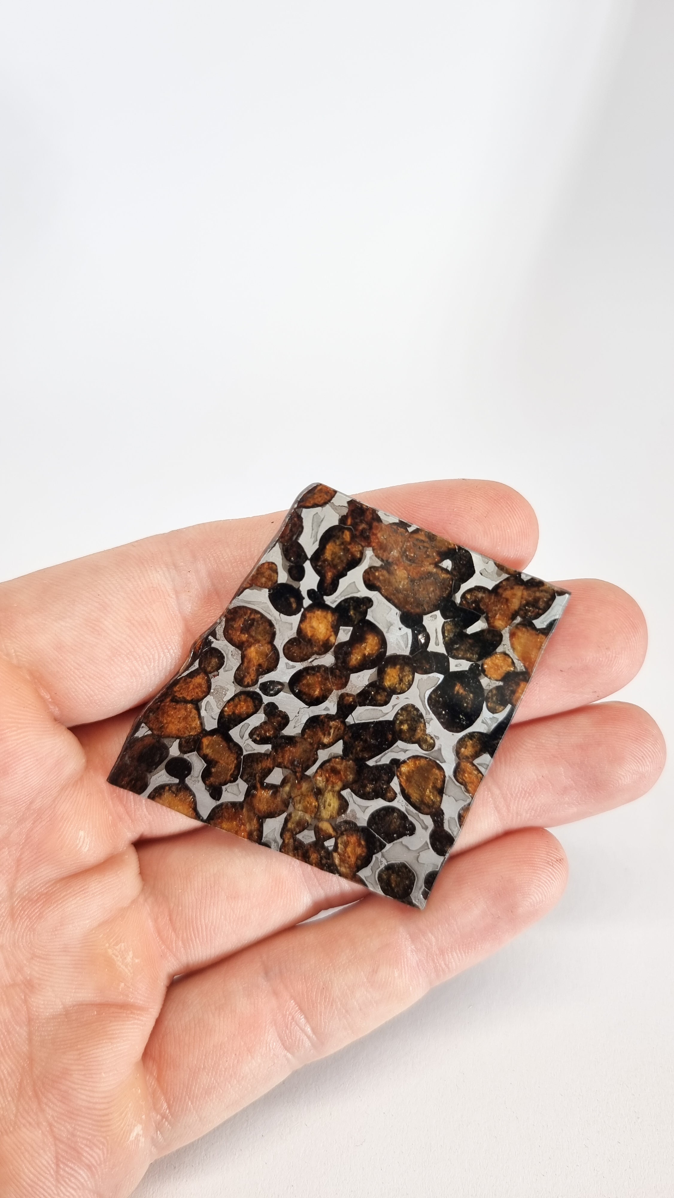 Sericho Pallasite, Kenya. 15.31g slice.