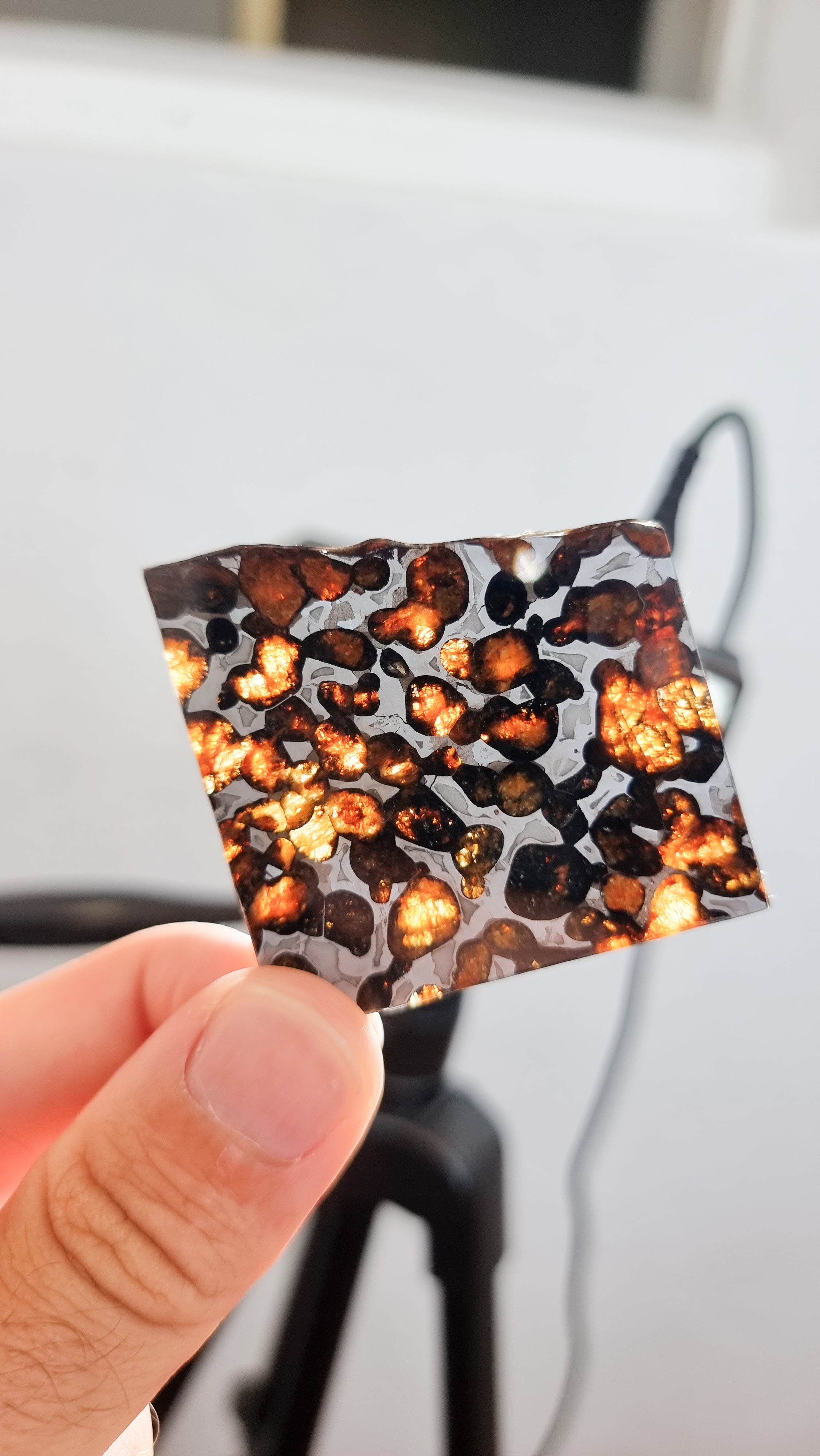 Sericho Pallasite, Kenya. 15.31g slice.