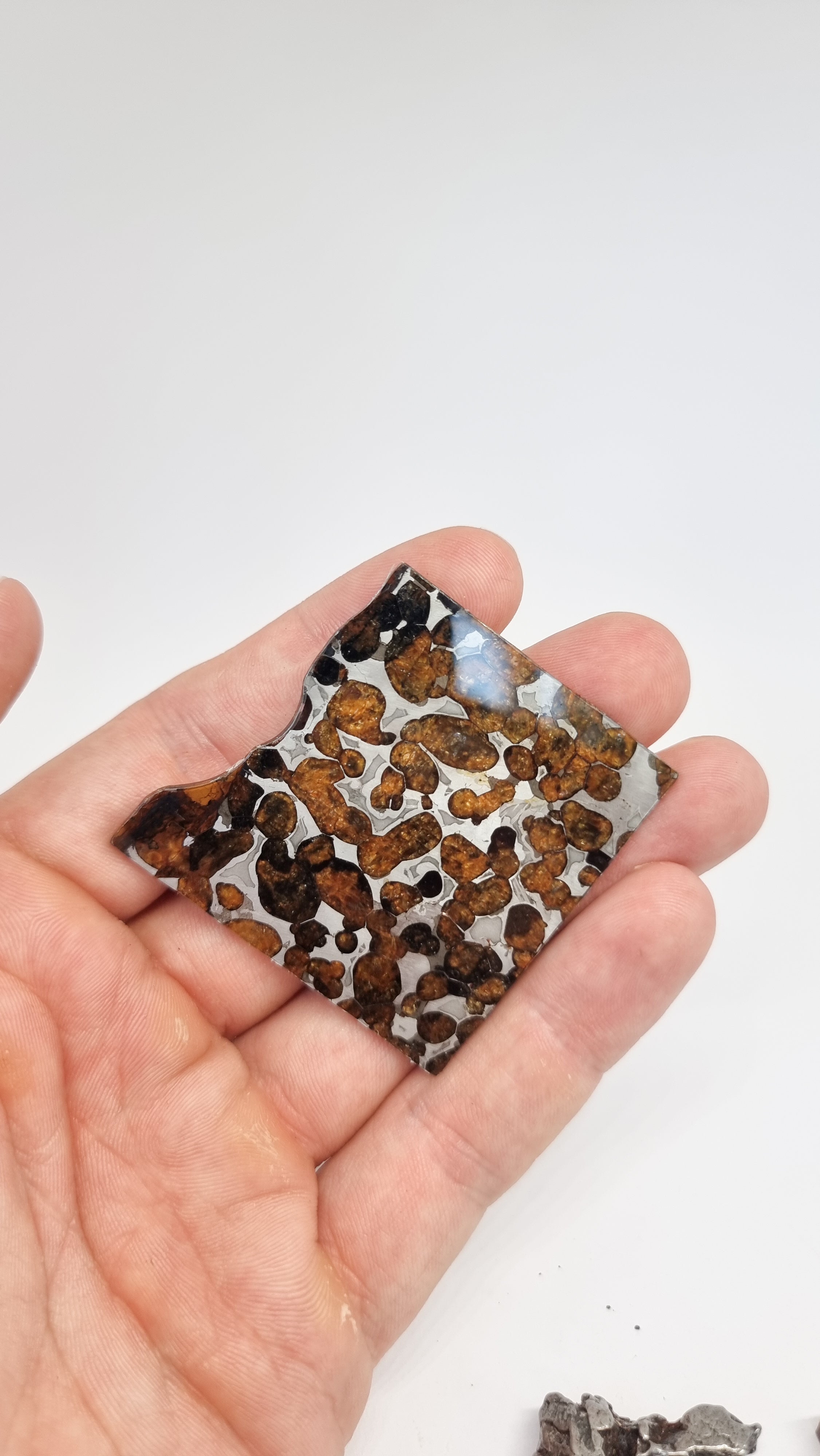 Sericho Pallasite, Kenya. 13.05g slice.