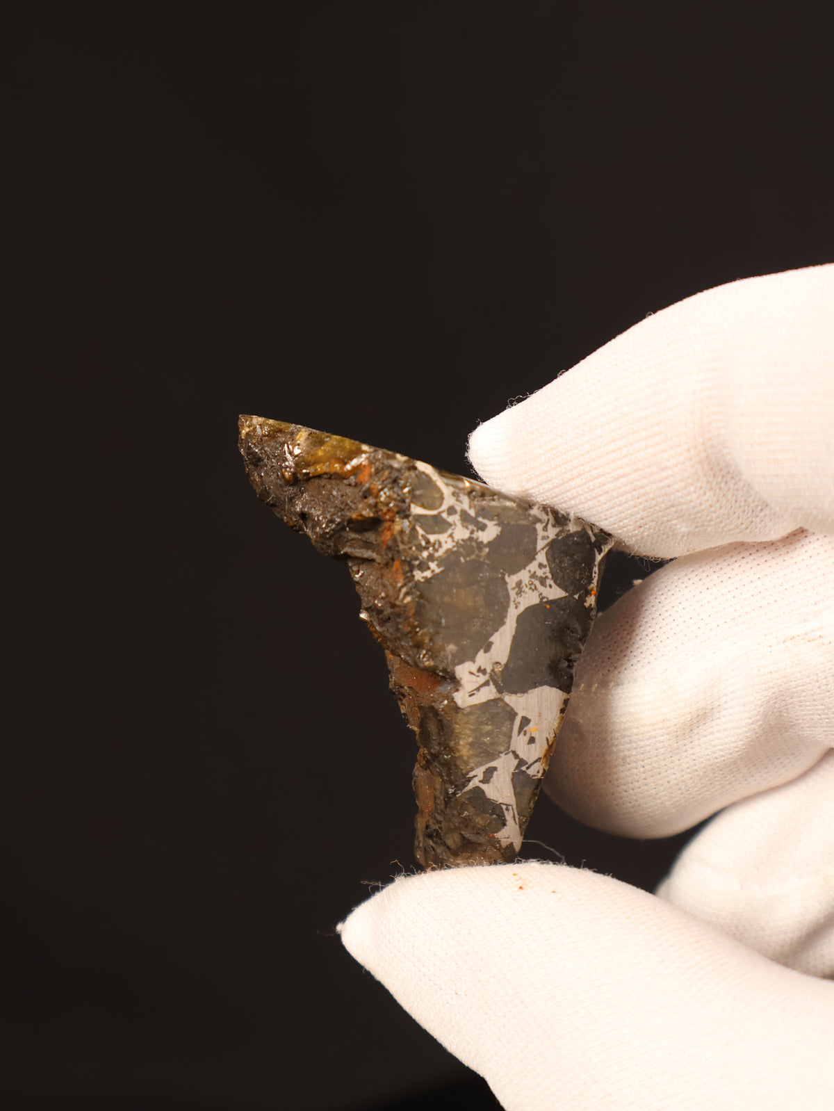 Seymchan meteorite, Russia. 44 grams end-cut.