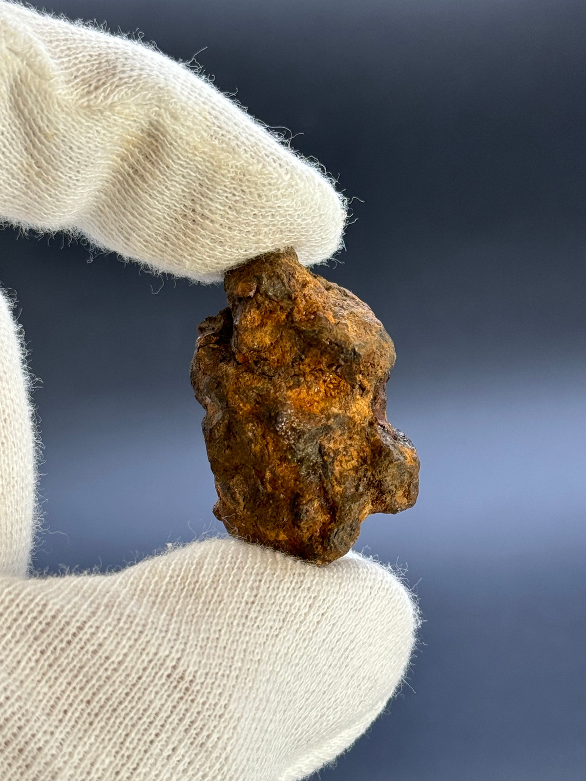 SERICHO PALLASITE METEORITE, KENYA. 24,24 GRAMS END-CUT.