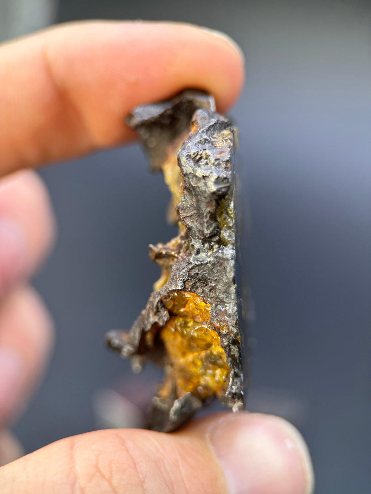 IMILAC PALLASITE METEORITE, END CUT, CHILE. 44,7 GRAMS.