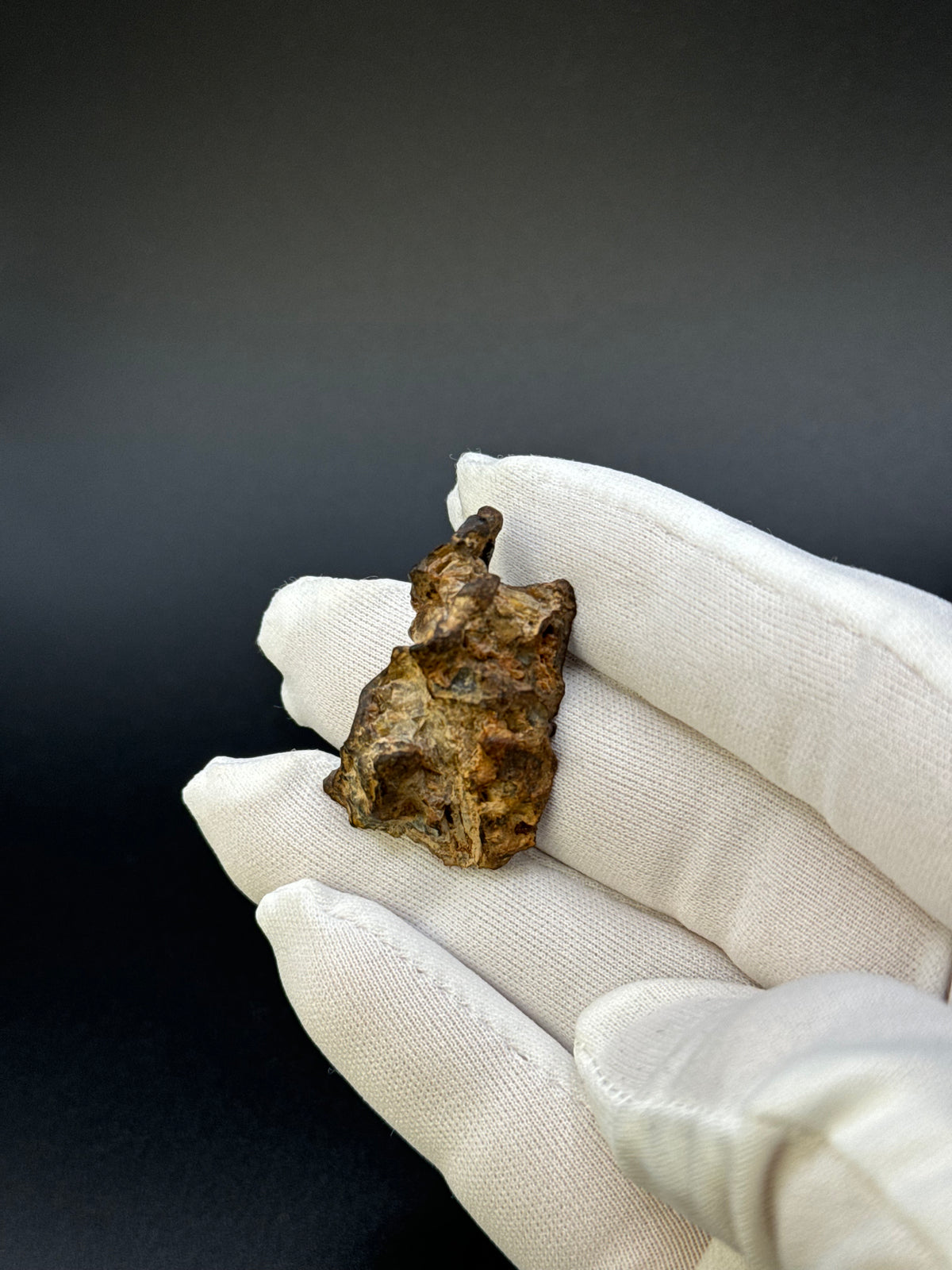 IMILAC PALLASITE METEORITE, END CUT, CHILE. 13,5 GRAMS.