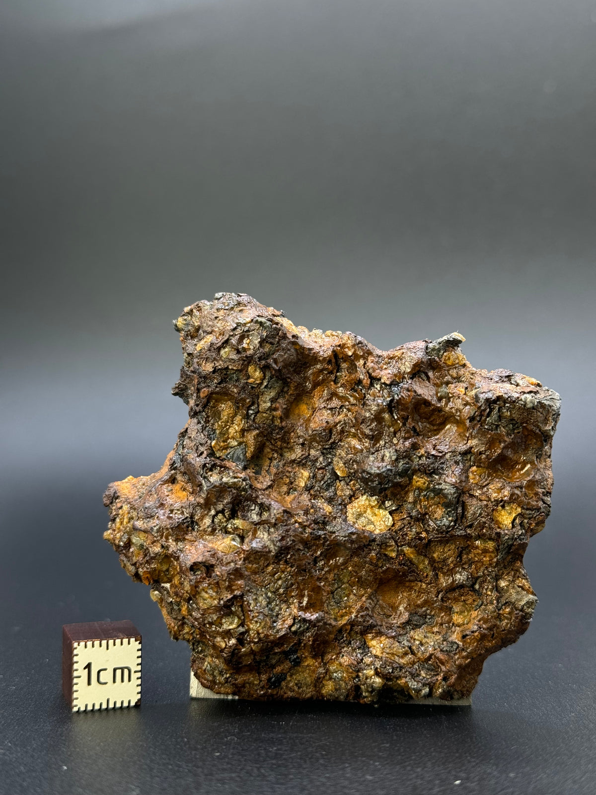 SEYMCHAN METEORITE, MAGADAN REGION, RUSSIA. 96 GRAMS END-CUT.