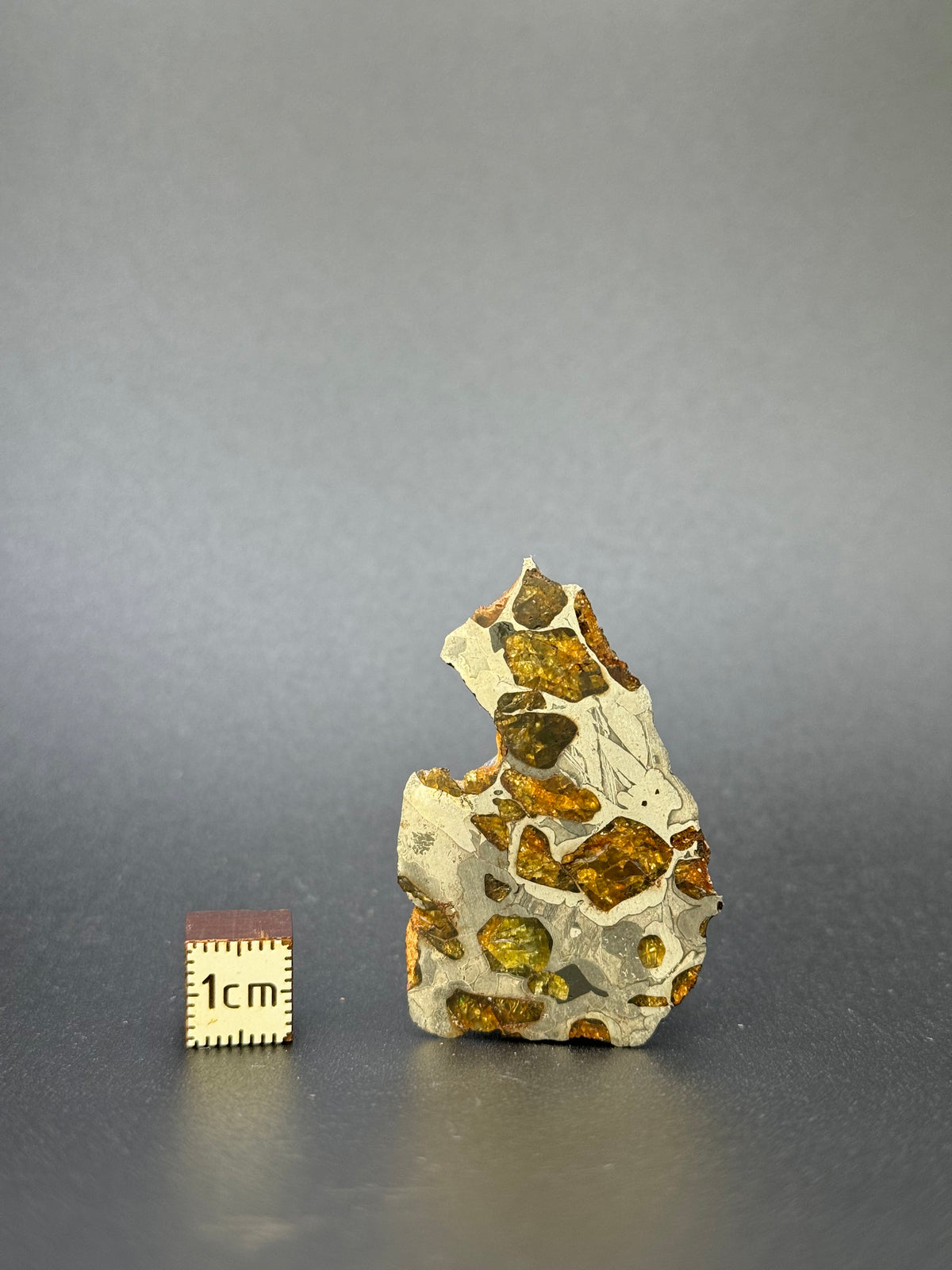 IMILAC PALLASITE METEORITE, END CUT, CHILE. 22,62 GRAMS.