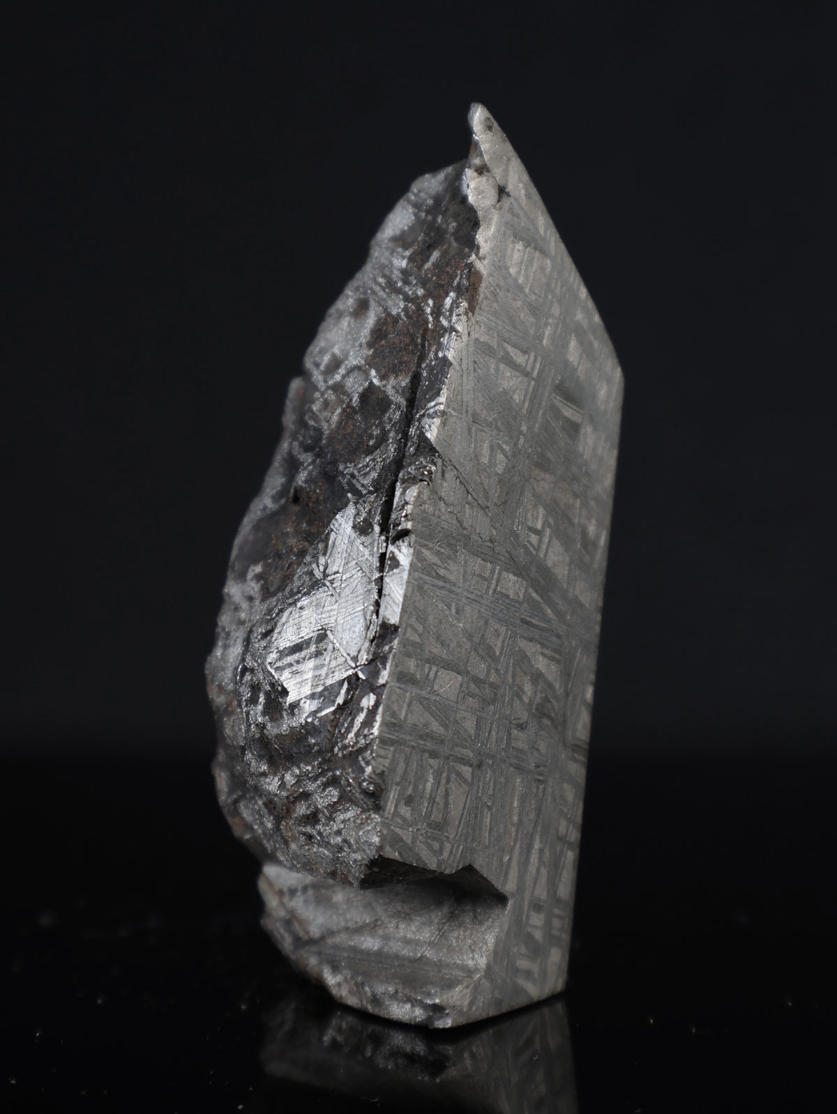 MUONIONALUSTA METEORITE, SWEDEN. 377 GRAMS END-CUT.