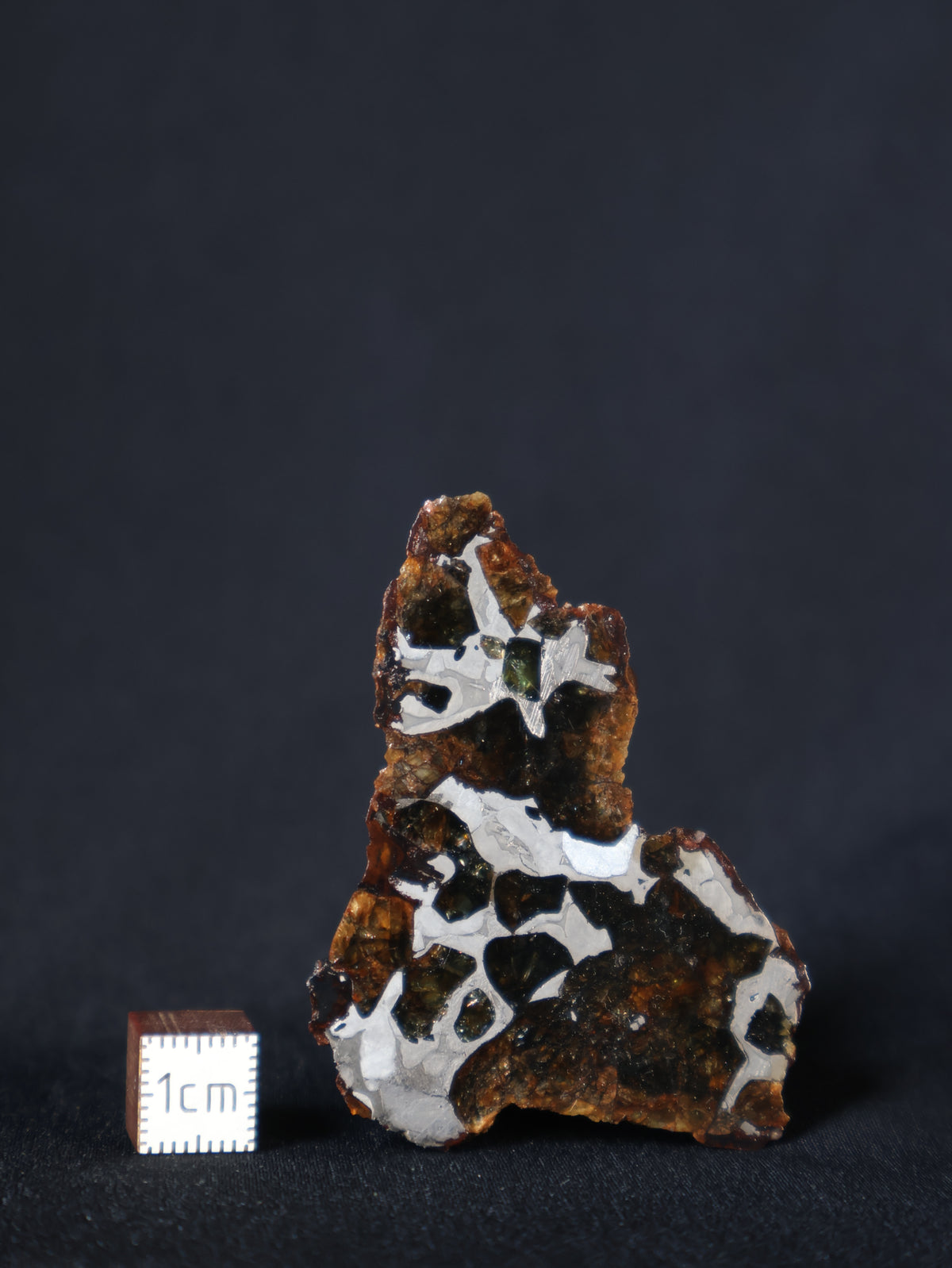 SEYMCHAN METEORITE, MAGADAN REGION, RUSSIA. 35,2 GRAMS END-CUT.