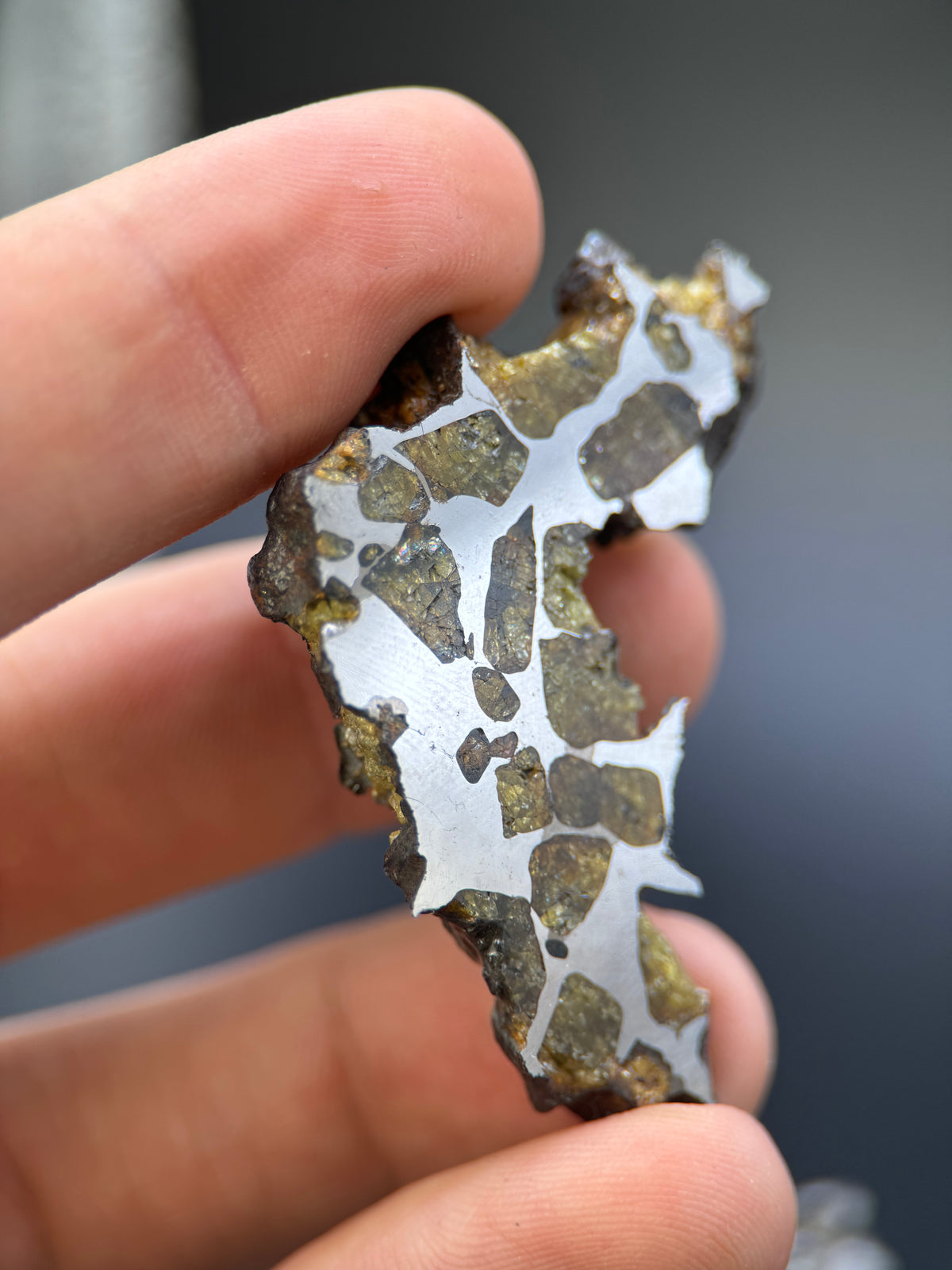 IMILAC PALLASITE METEORITE, END CUT, CHILE. 25,2 GRAMS.