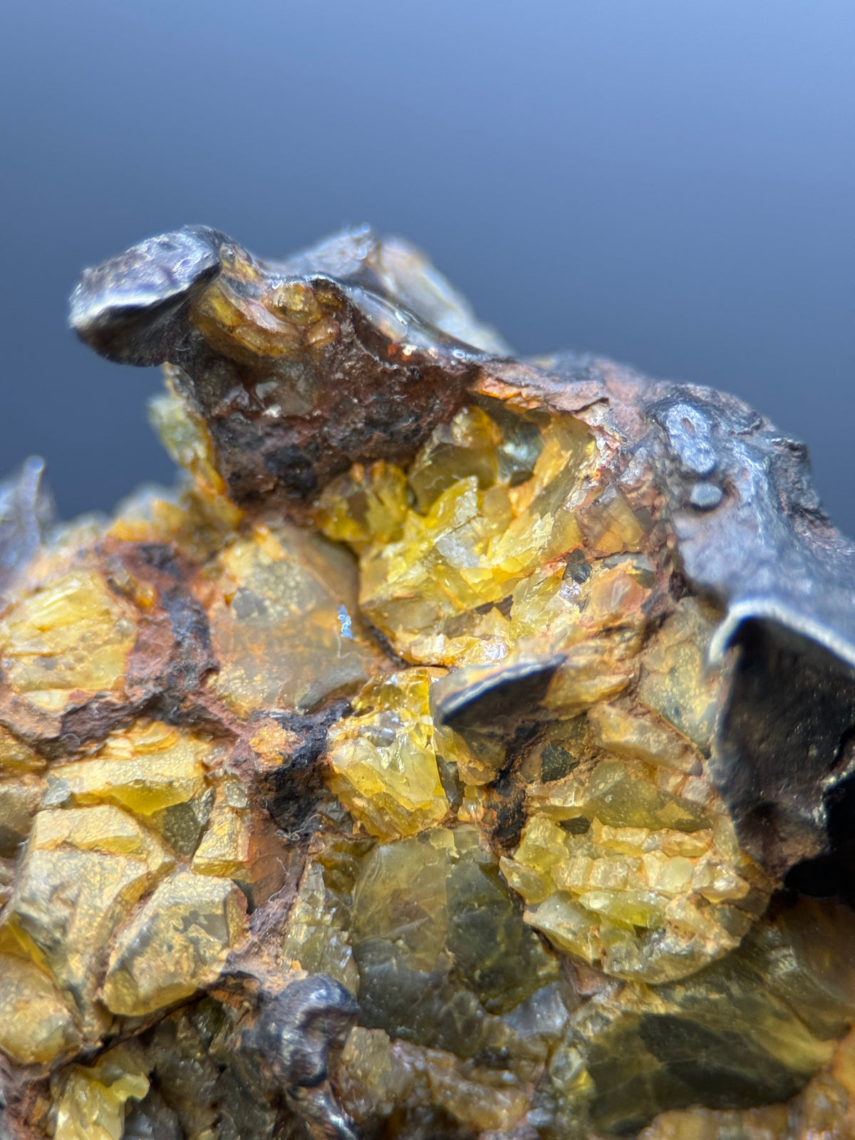IMILAC PALLASITE METEORITE, END CUT, CHILE. 44,7 GRAMS.