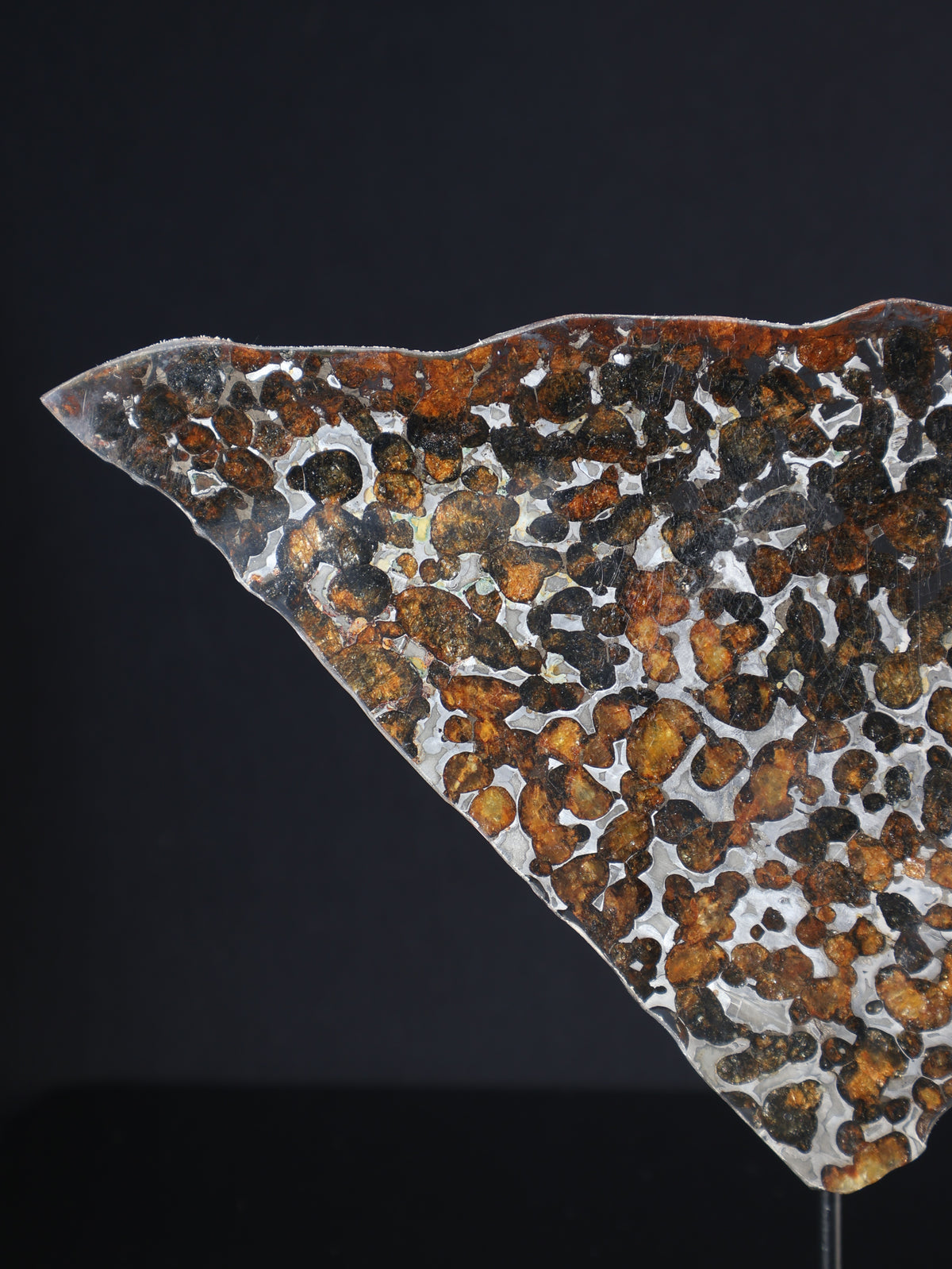 SERICHO METEORITE, KENYA. 74,56 GRAMS SLICE