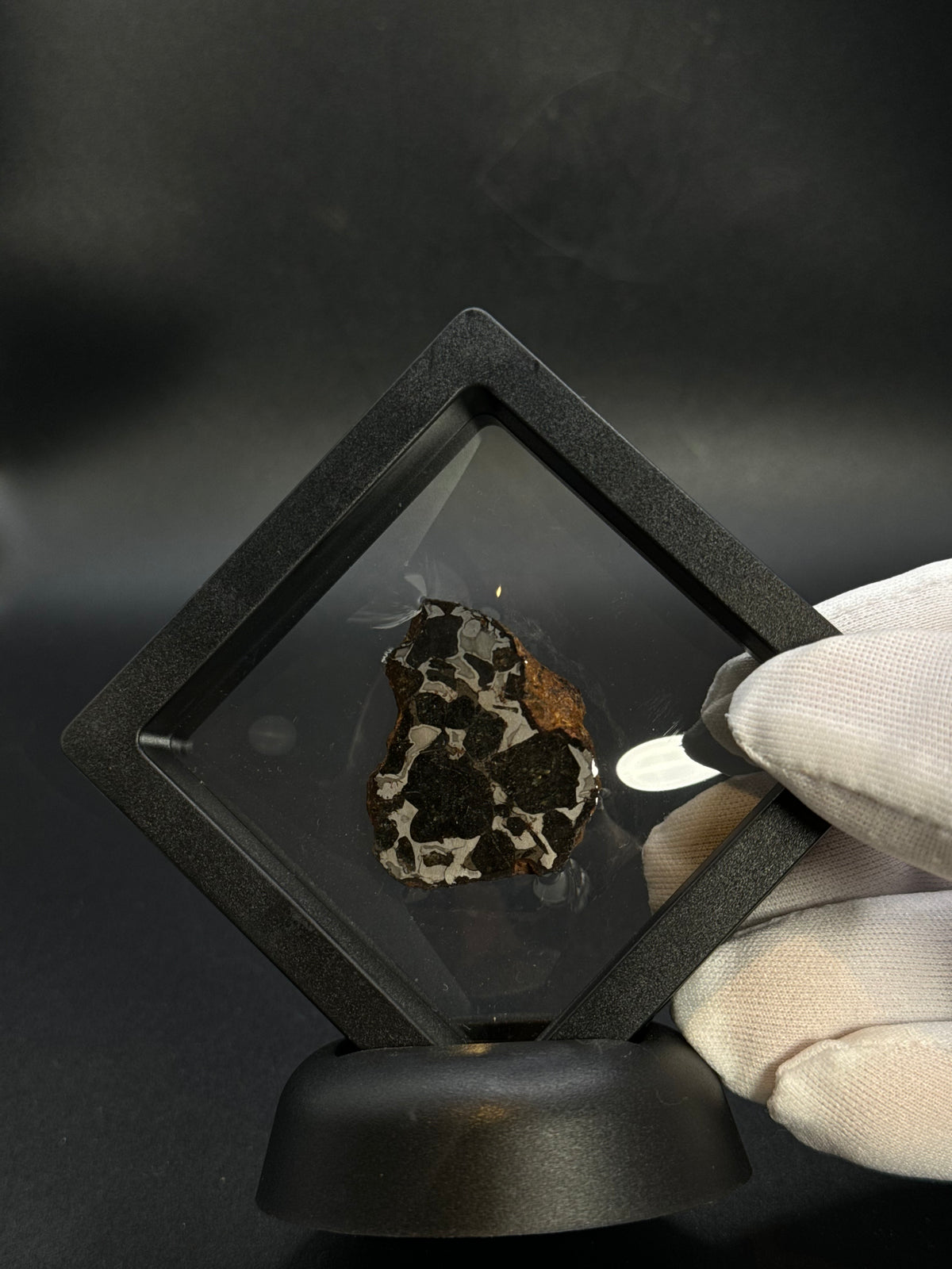 SERICHO PALLASITE METEORITE, KENYA. 21,79 GRAMS END-CUT
