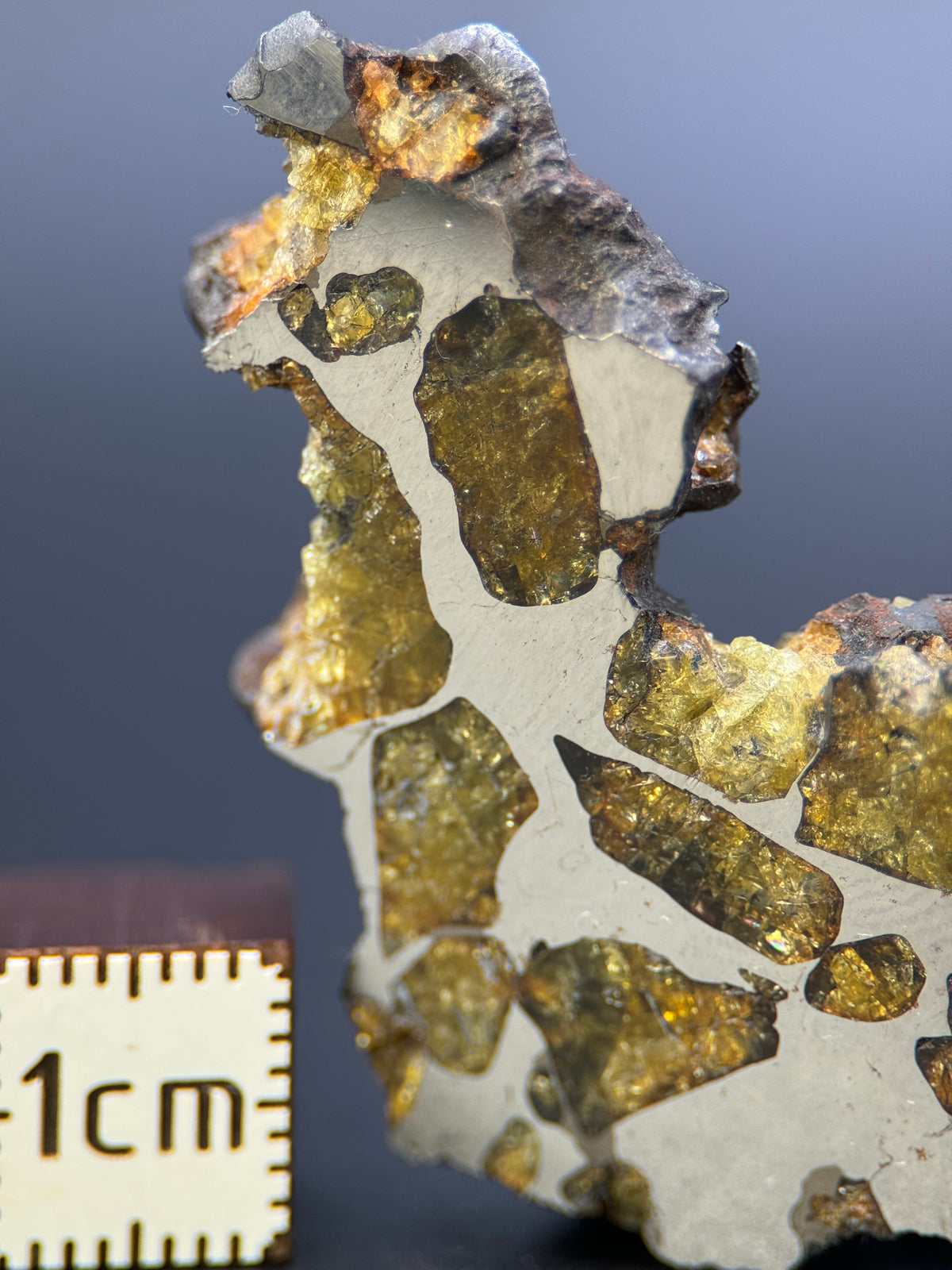 IMILAC PALLASITE METEORITE, END CUT, CHILE. 25,2 GRAMS.