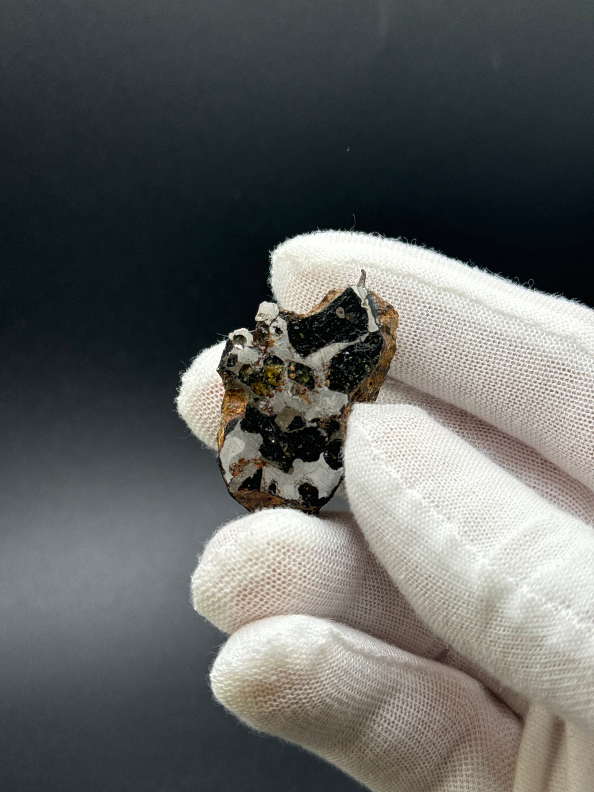 SERICHO PALLASITE METEORITE, KENYA. 31,69 GRAMS END-CUT.