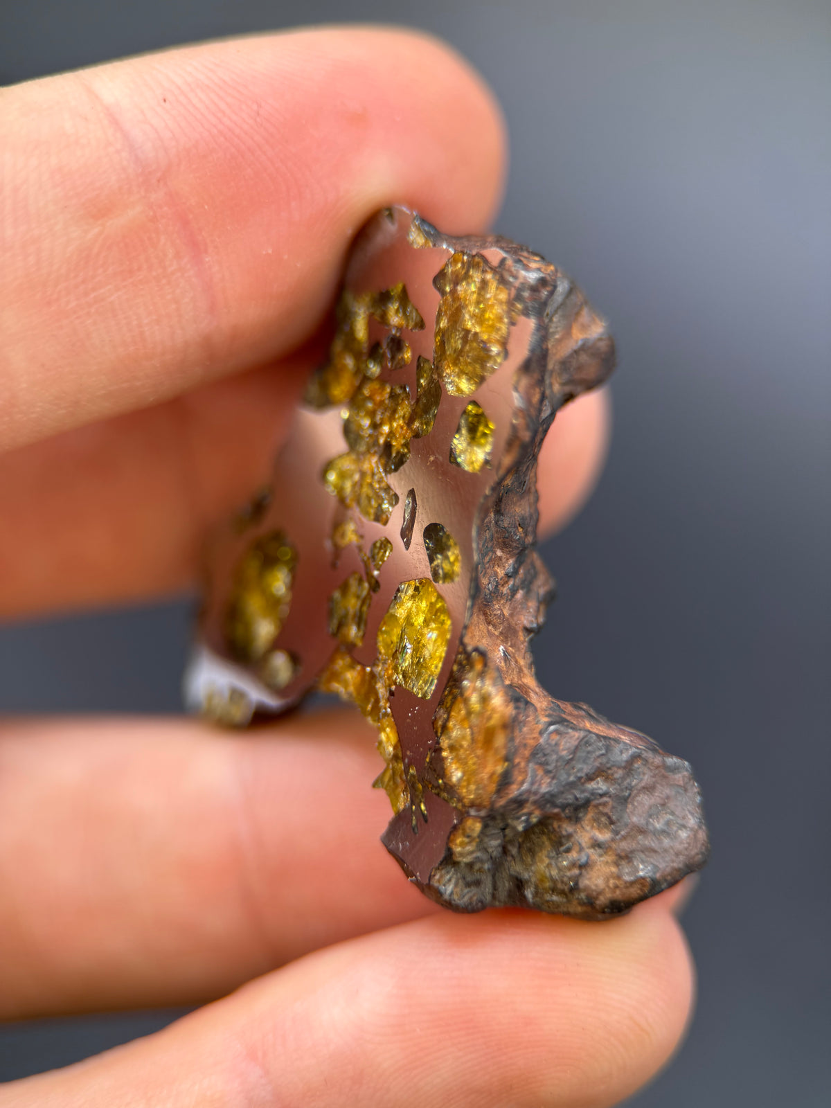 IMILAC PALLASITE METEORITE, END CUT, CHILE. 27,11 GRAMS.