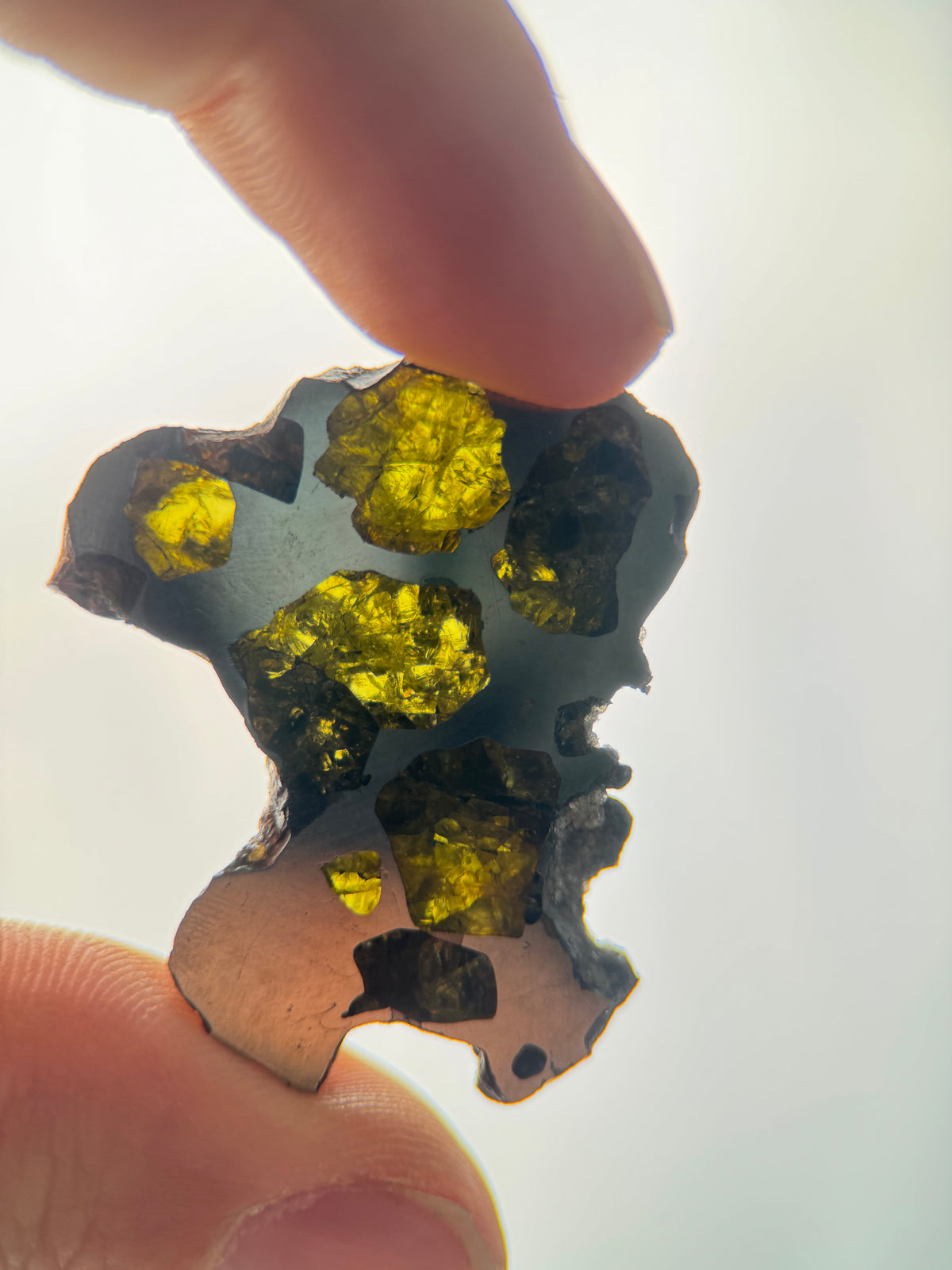 IMILAC PALLASITE METEORITE, CHILE. 12,56 GRAMS SLICE.