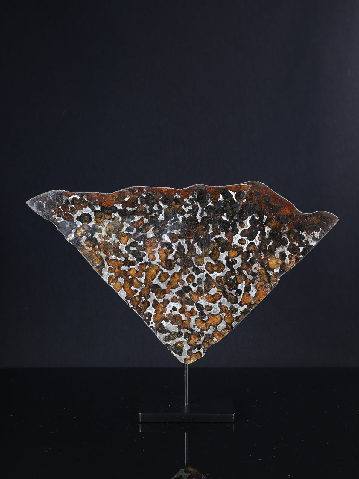 SERICHO METEORITE, KENYA. 74,56 GRAMS SLICE