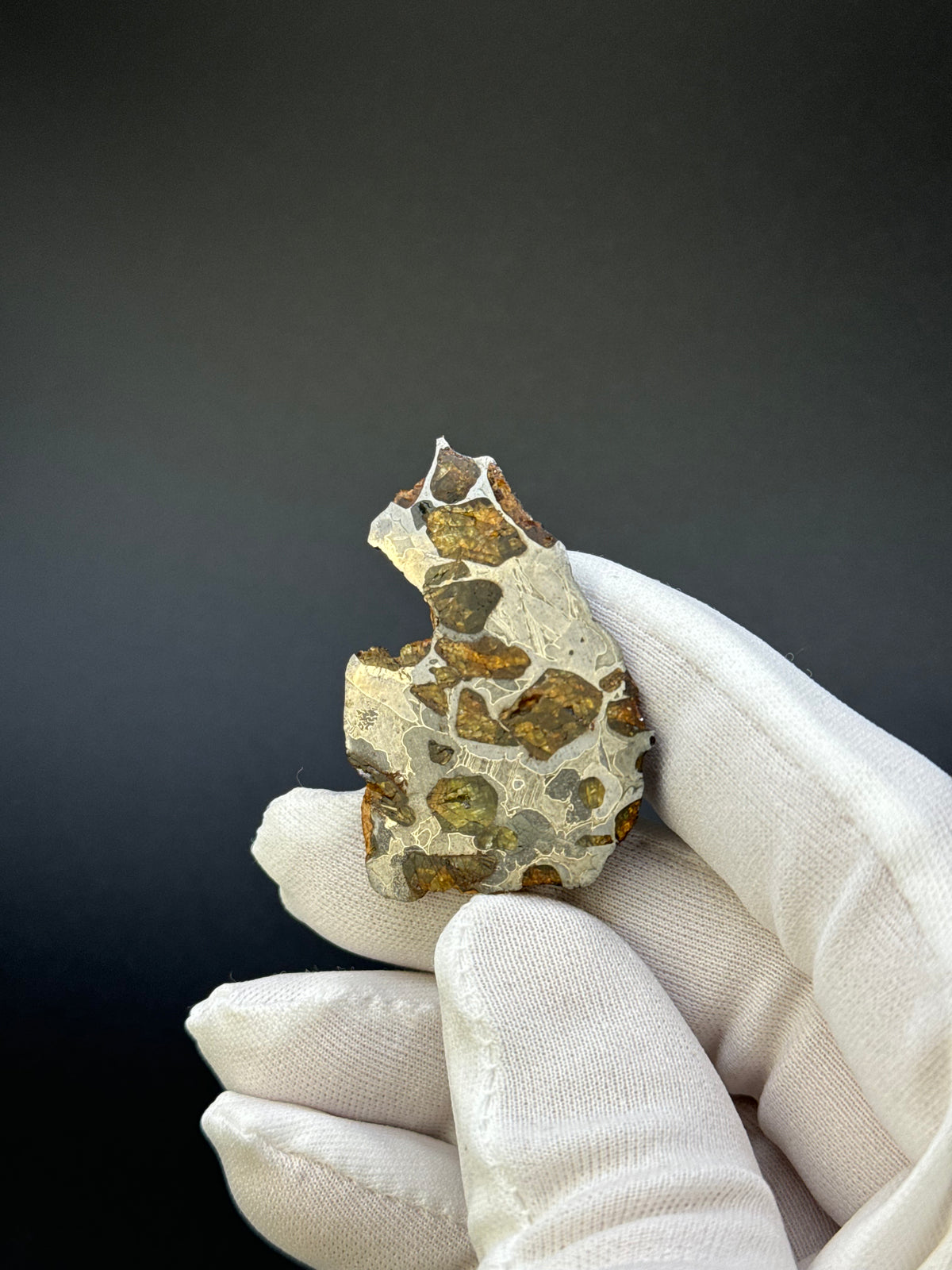 IMILAC PALLASITE METEORITE, END CUT, CHILE. 22,62 GRAMS.