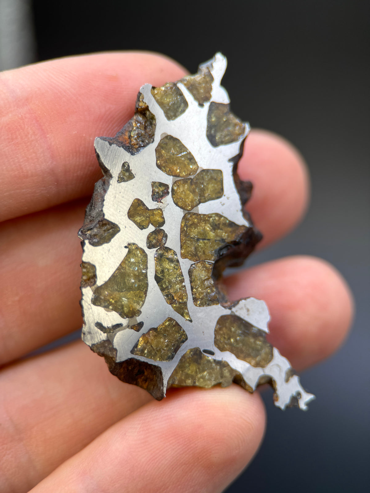 IMILAC PALLASITE METEORITE, END CUT, CHILE. 25,36 GRAMS.
