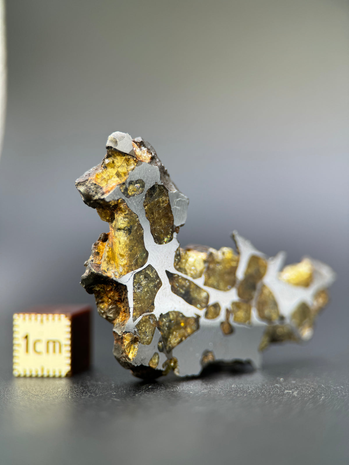 IMILAC PALLASITE METEORITE, END CUT, CHILE. 25,2 GRAMS.