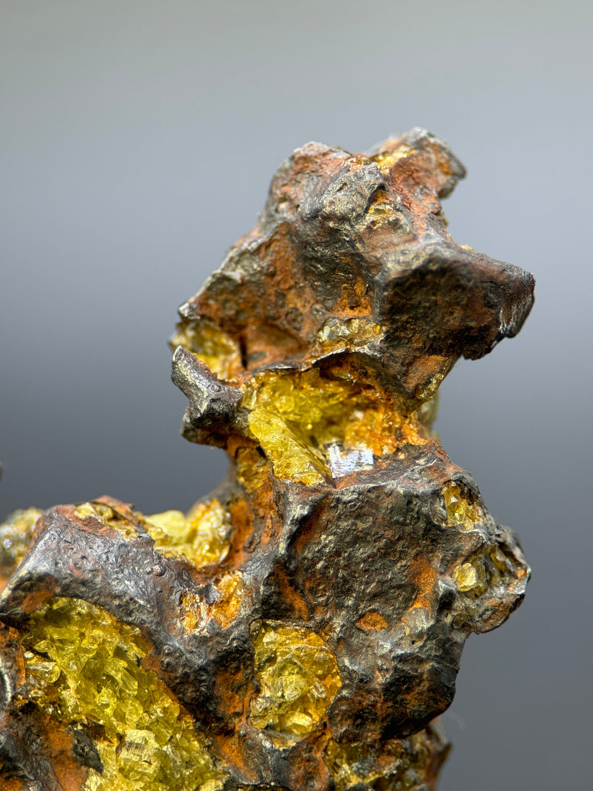 IMILAC PALLASITE METEORITE, END CUT, CHILE. 25,2 GRAMS.