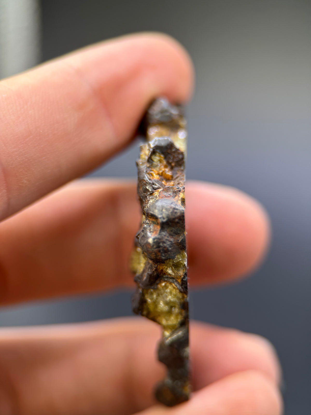 IMILAC PALLASITE METEORITE, END CUT, CHILE. 25,2 GRAMS.