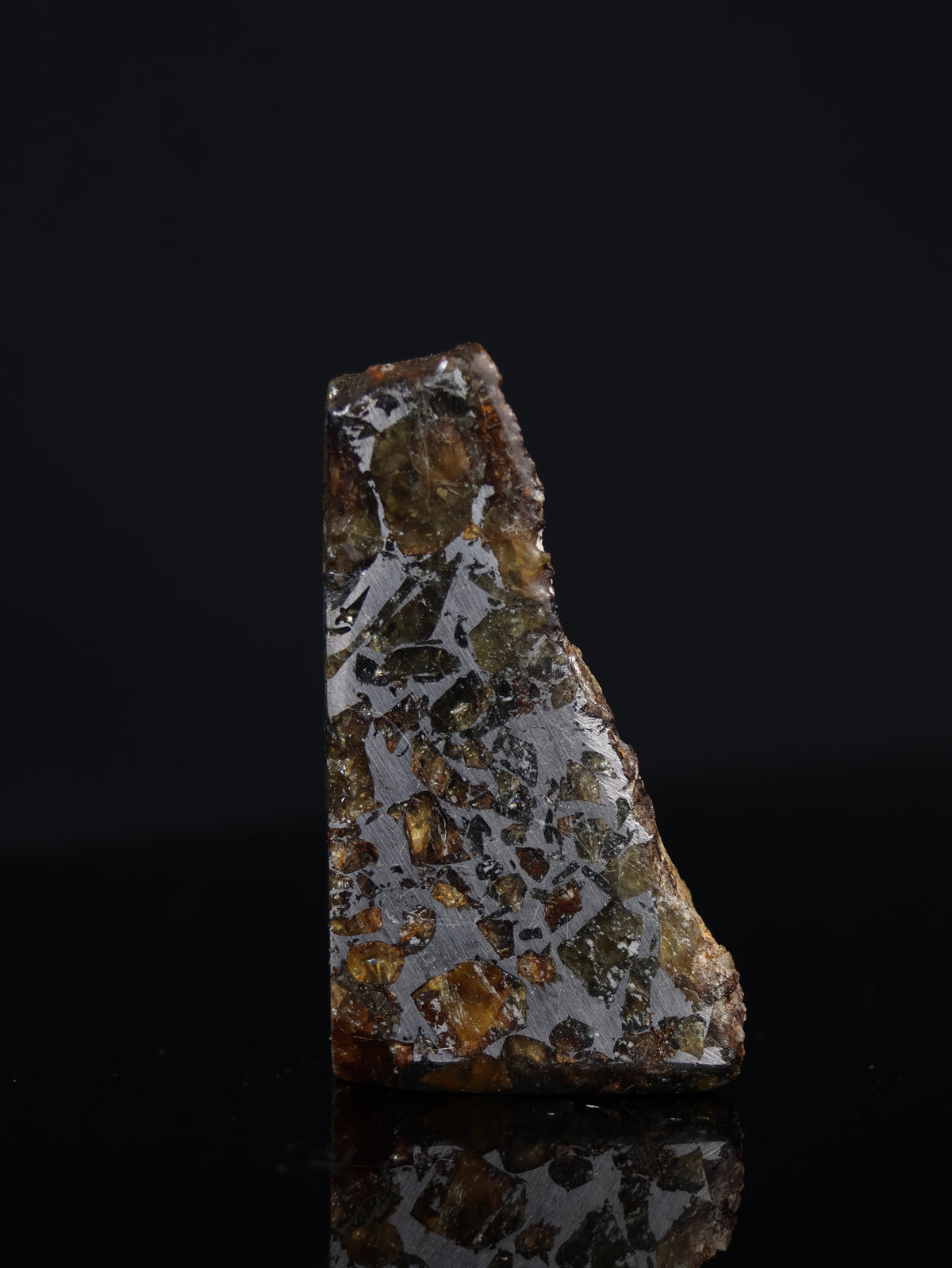 Seymchan meteorite, Russia. 31,3 grams end-cut.