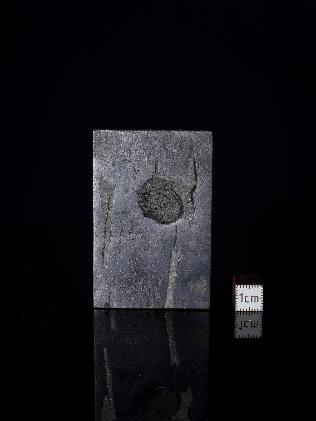 Aletai meteorite, Gobi Desert, China. 87,75 grams.