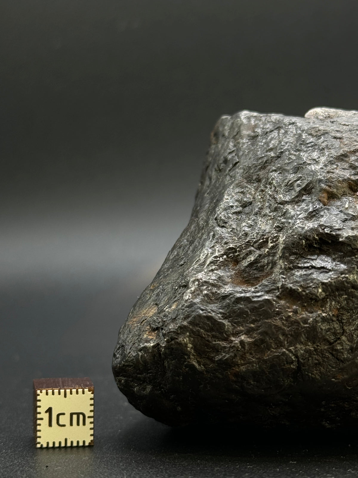 MUONIONALUSTA METEORITE, SWEDEN. FULL METEORITE 843 GRAMS.