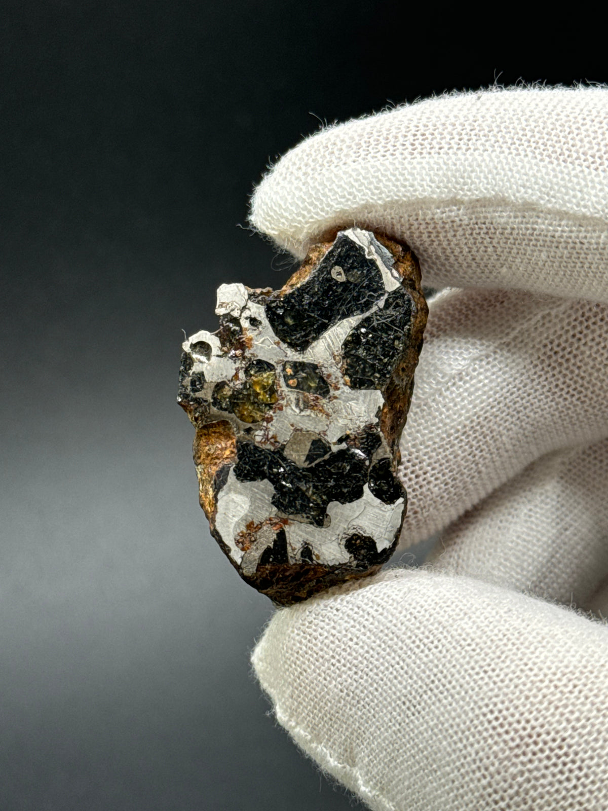 SERICHO PALLASITE METEORITE, KENYA. 31,69 GRAMS END-CUT.