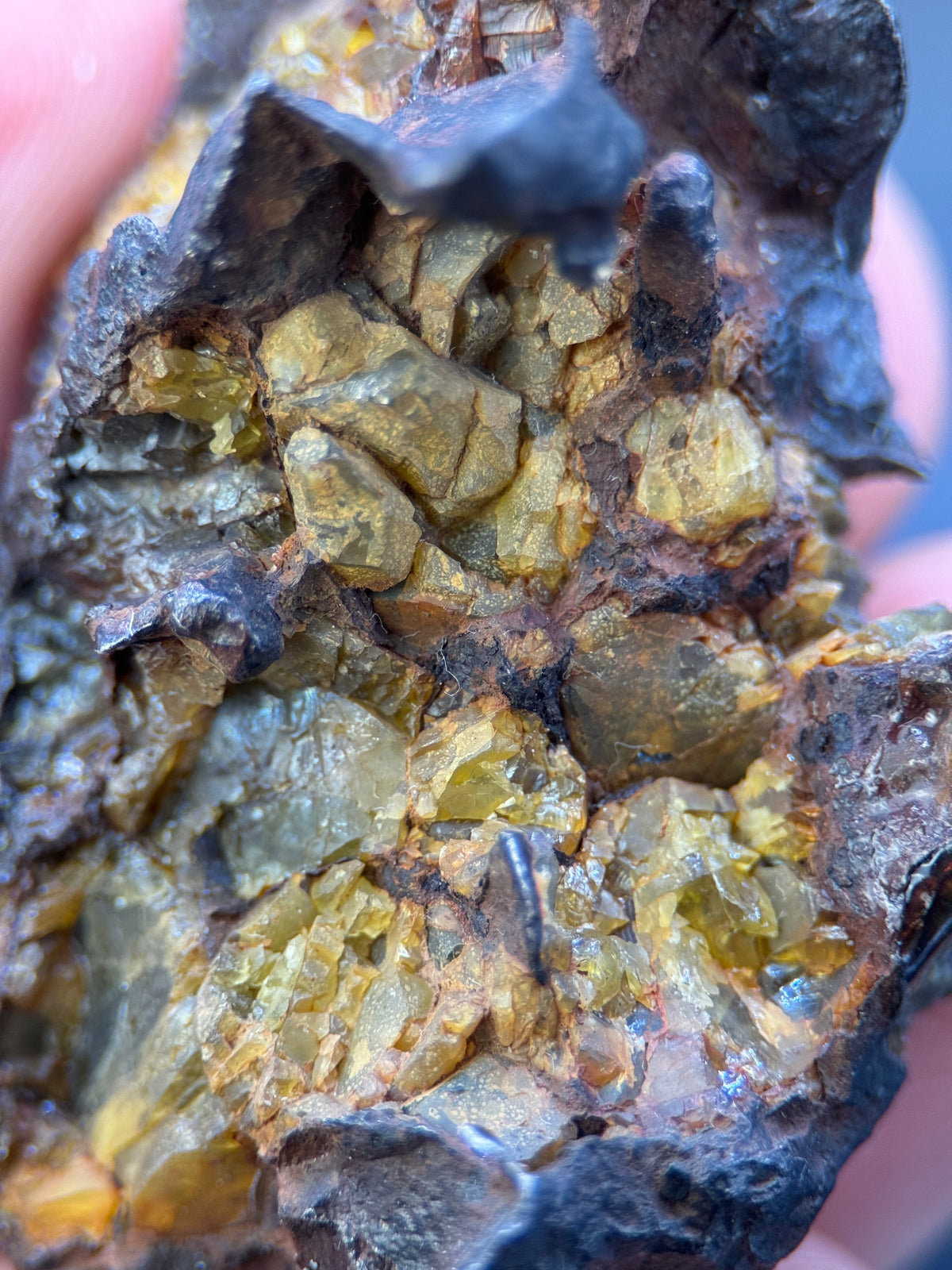 IMILAC PALLASITE METEORITE, END CUT, CHILE. 44,7 GRAMS.