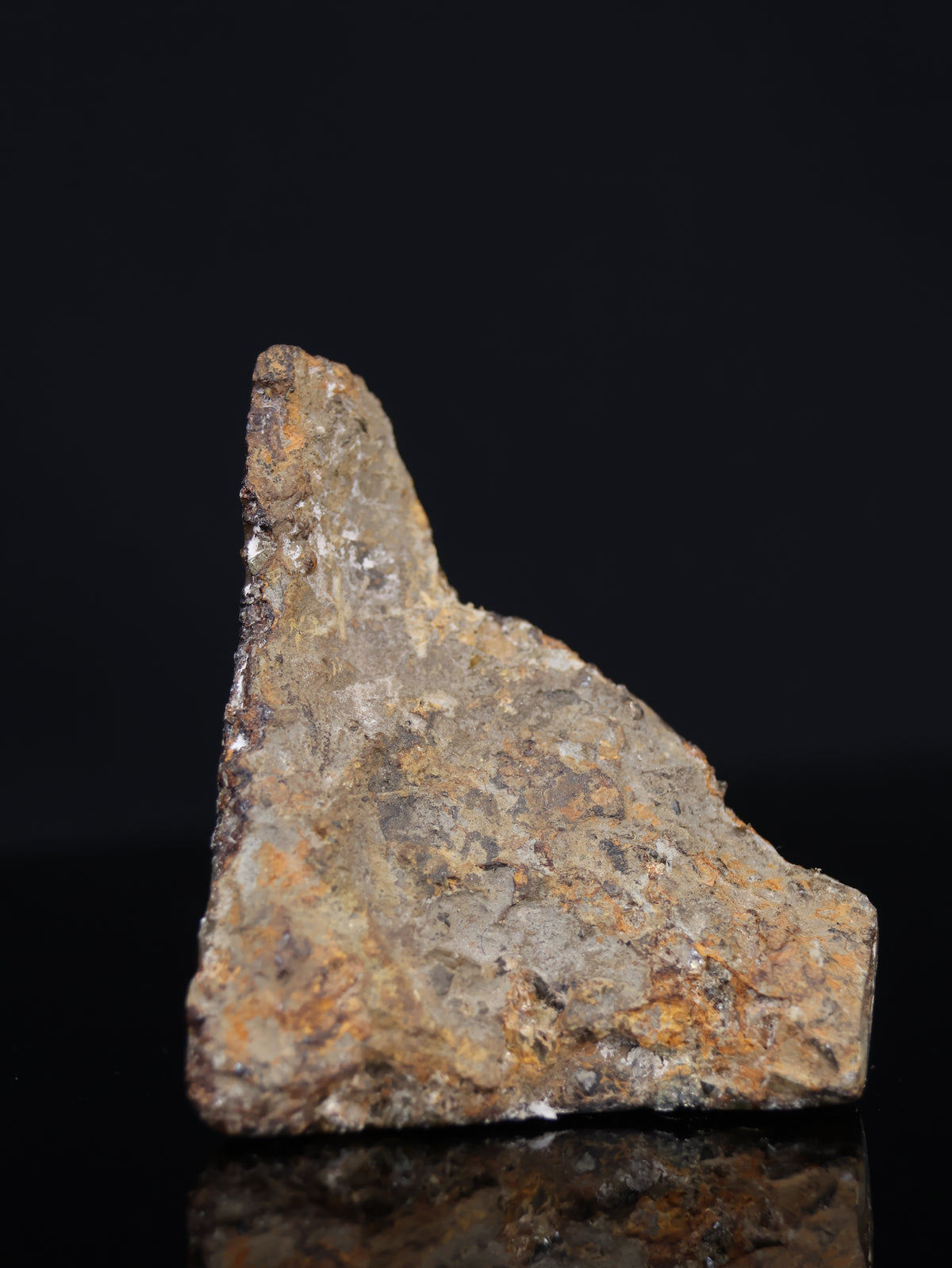 Seymchan meteorite, Russia. 31,3 grams end-cut.