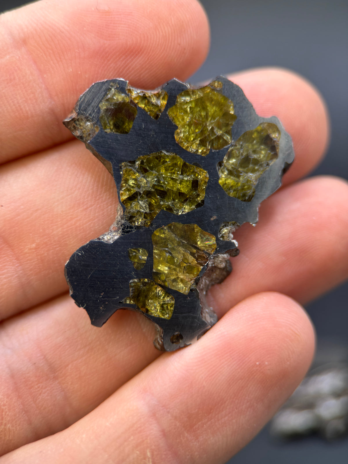 IMILAC PALLASITE METEORITE, CHILE. 12,56 GRAMS SLICE.