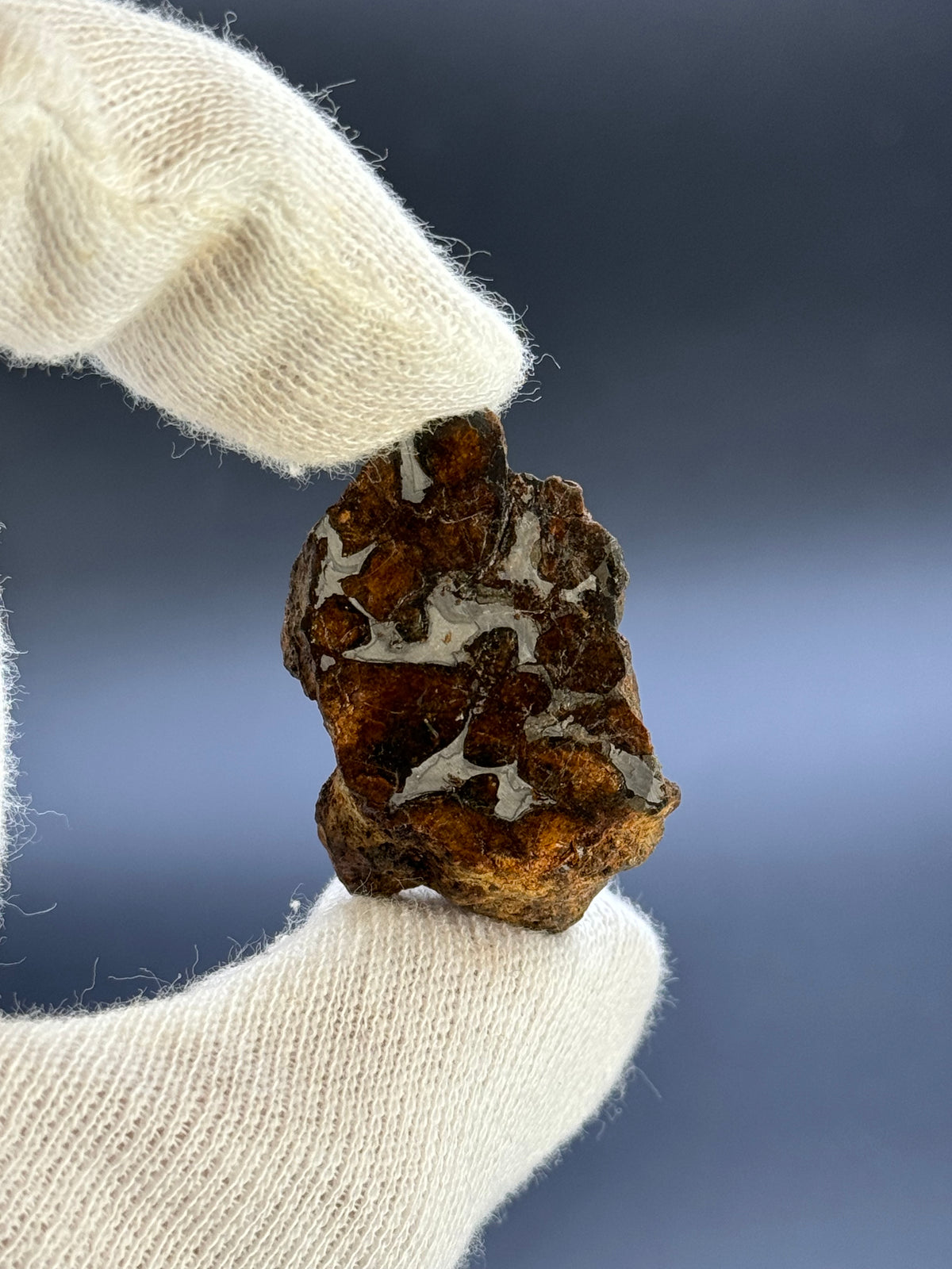 SERICHO PALLASITE METEORITE, KENYA. 24,24 GRAMS END-CUT.