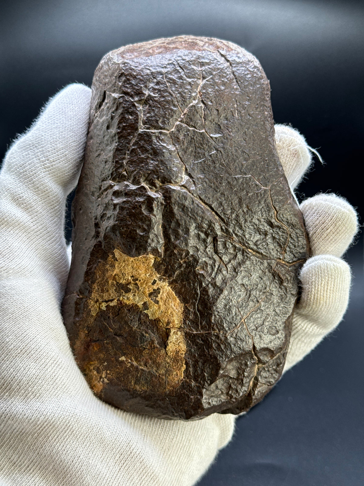 Chondrite meteorite, North West Africa. 832 grams.