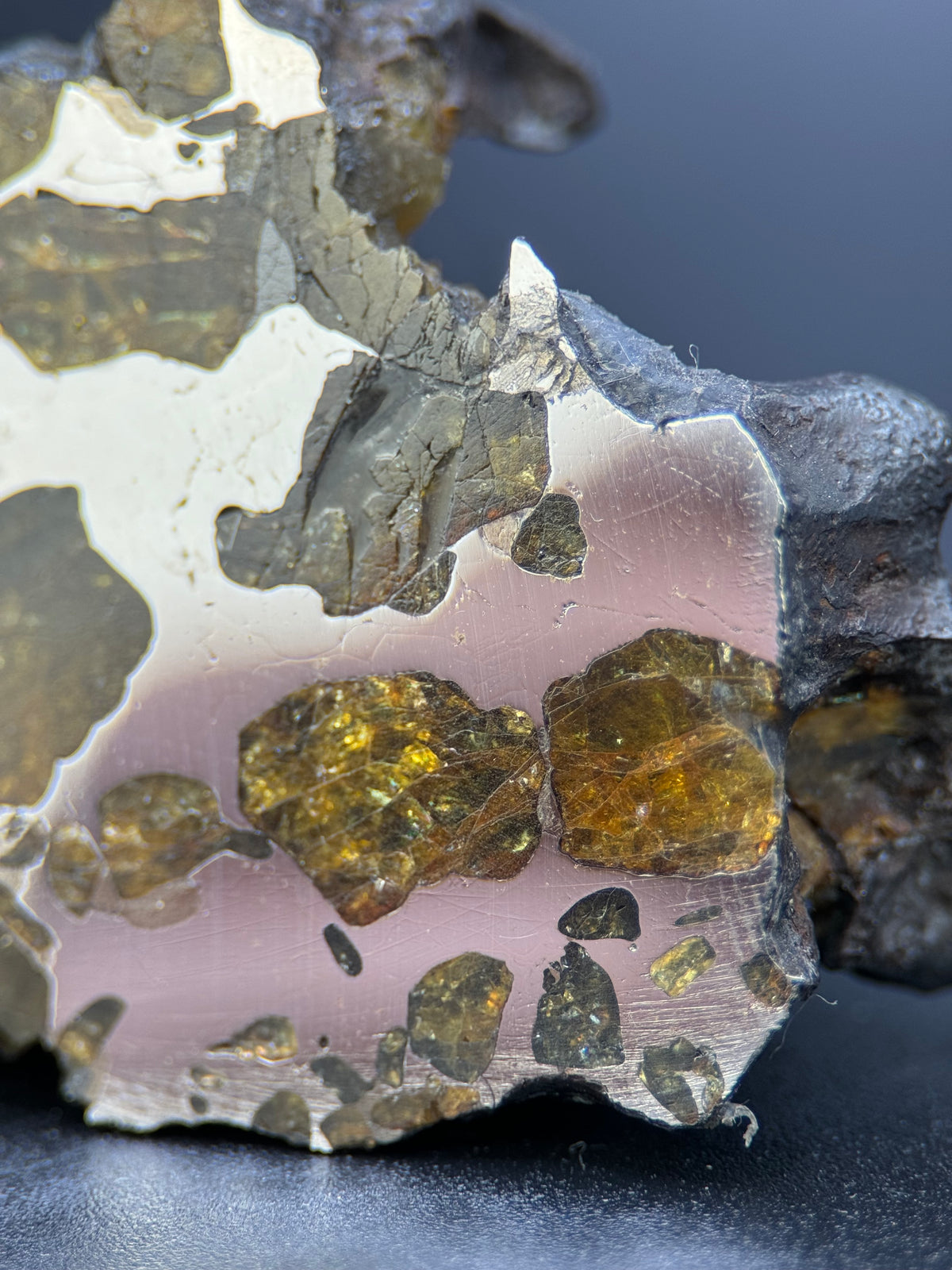 IMILAC PALLASITE METEORITE, END CUT, CHILE. 44,7 GRAMS.
