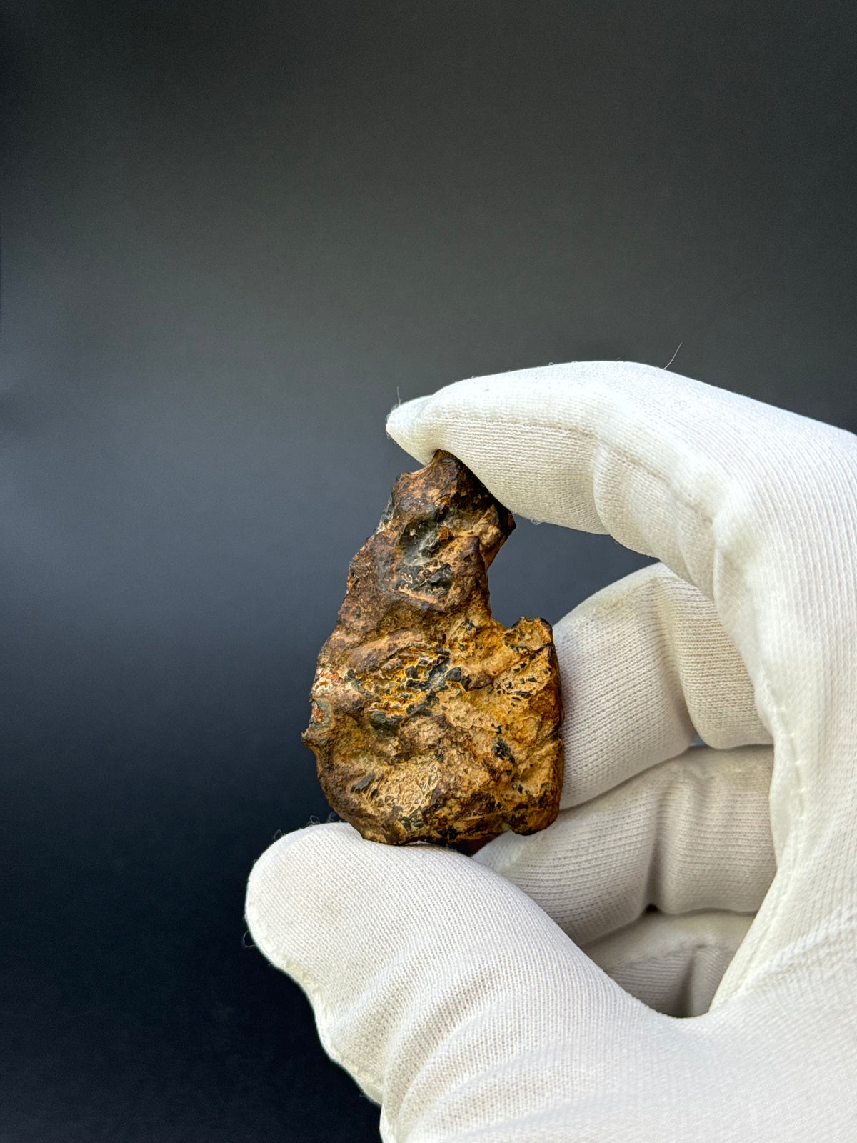 IMILAC PALLASITE METEORITE, END CUT, CHILE. 22,62 GRAMS.