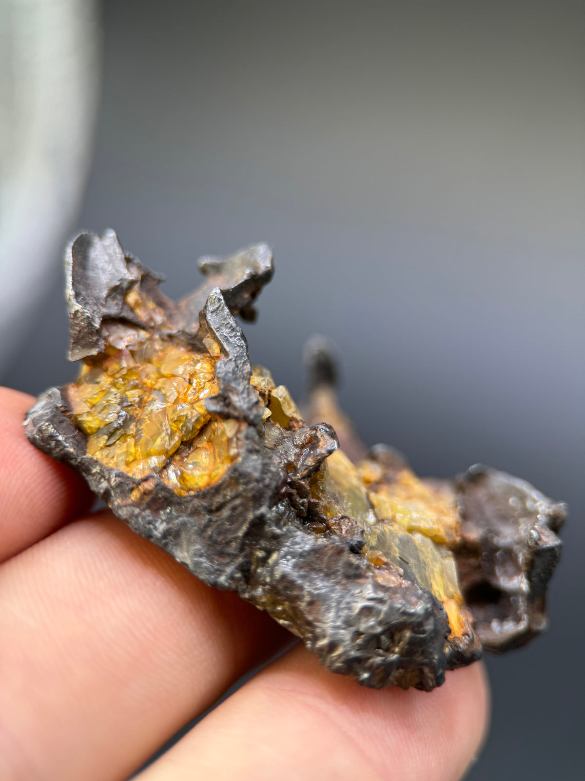 IMILAC PALLASITE METEORITE, END CUT, CHILE. 44,7 GRAMS.