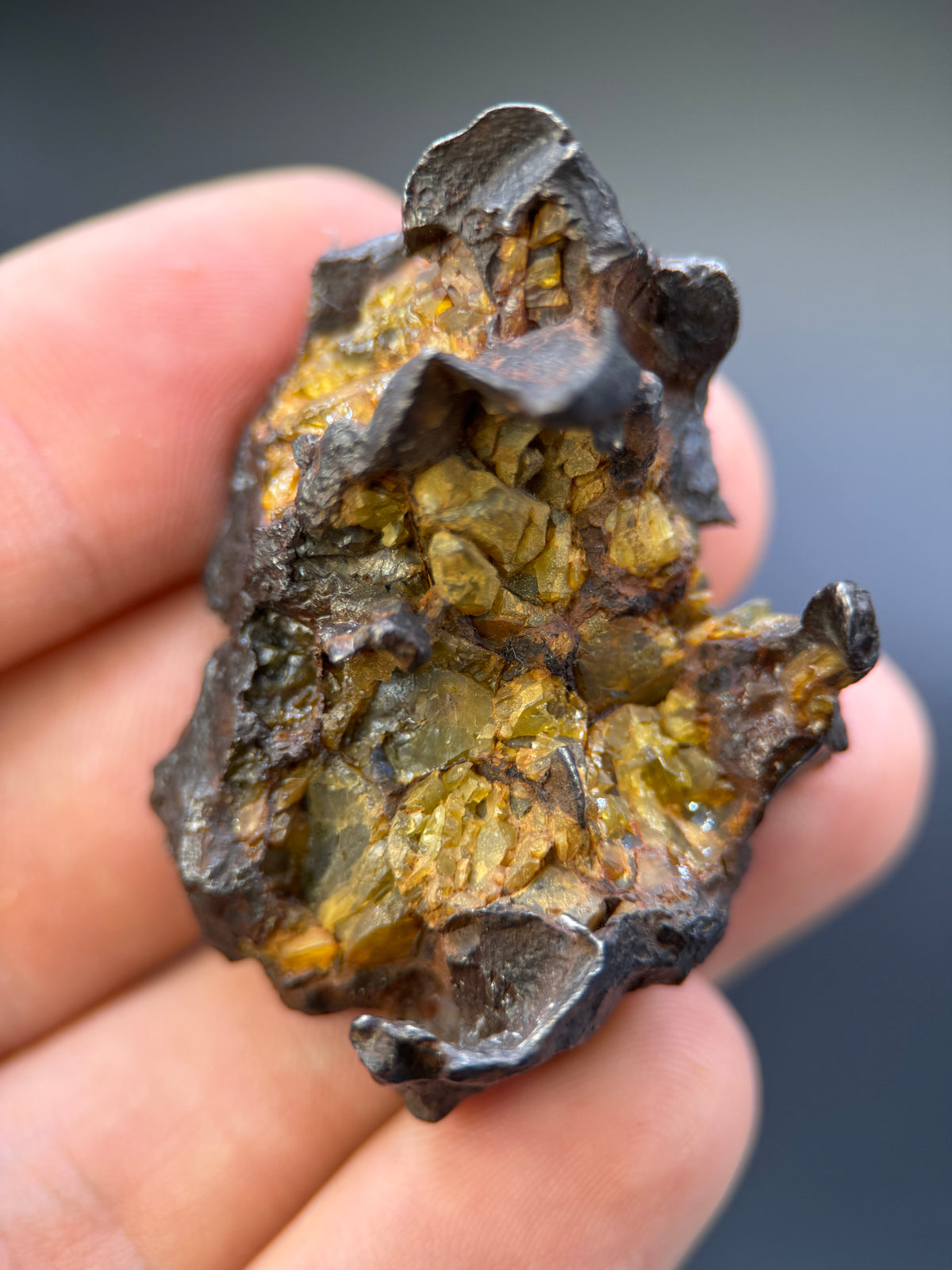 IMILAC PALLASITE METEORITE, END CUT, CHILE. 44,7 GRAMS.