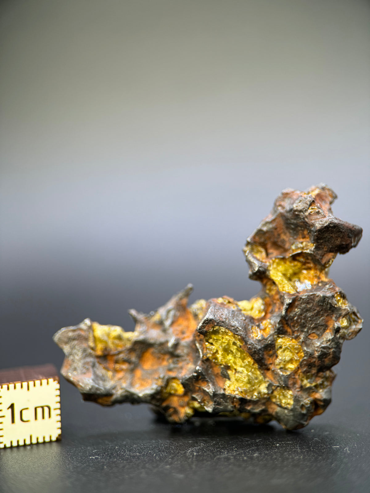 IMILAC PALLASITE METEORITE, END CUT, CHILE. 25,2 GRAMS.