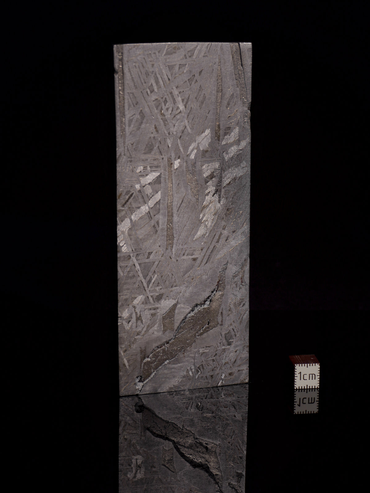 Aletai Meteorite, Gobi Desert, China. 227 grams.