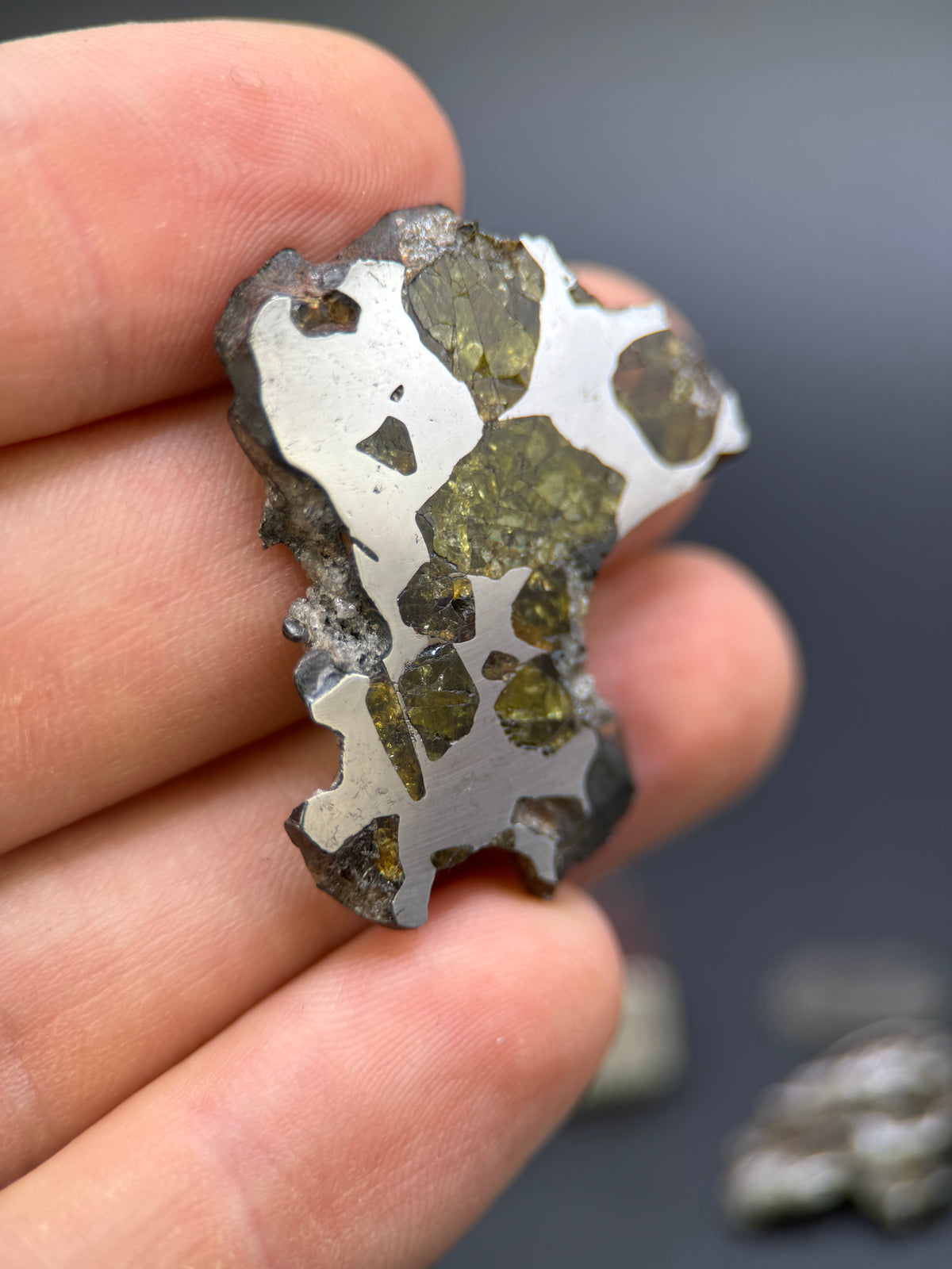 IMILAC PALLASITE METEORITE, CHILE. 12,56 GRAMS SLICE.