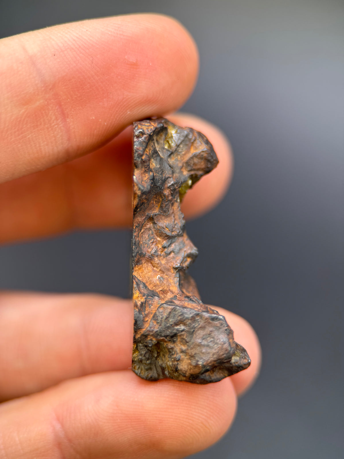IMILAC PALLASITE METEORITE, END CUT, CHILE. 27,11 GRAMS.