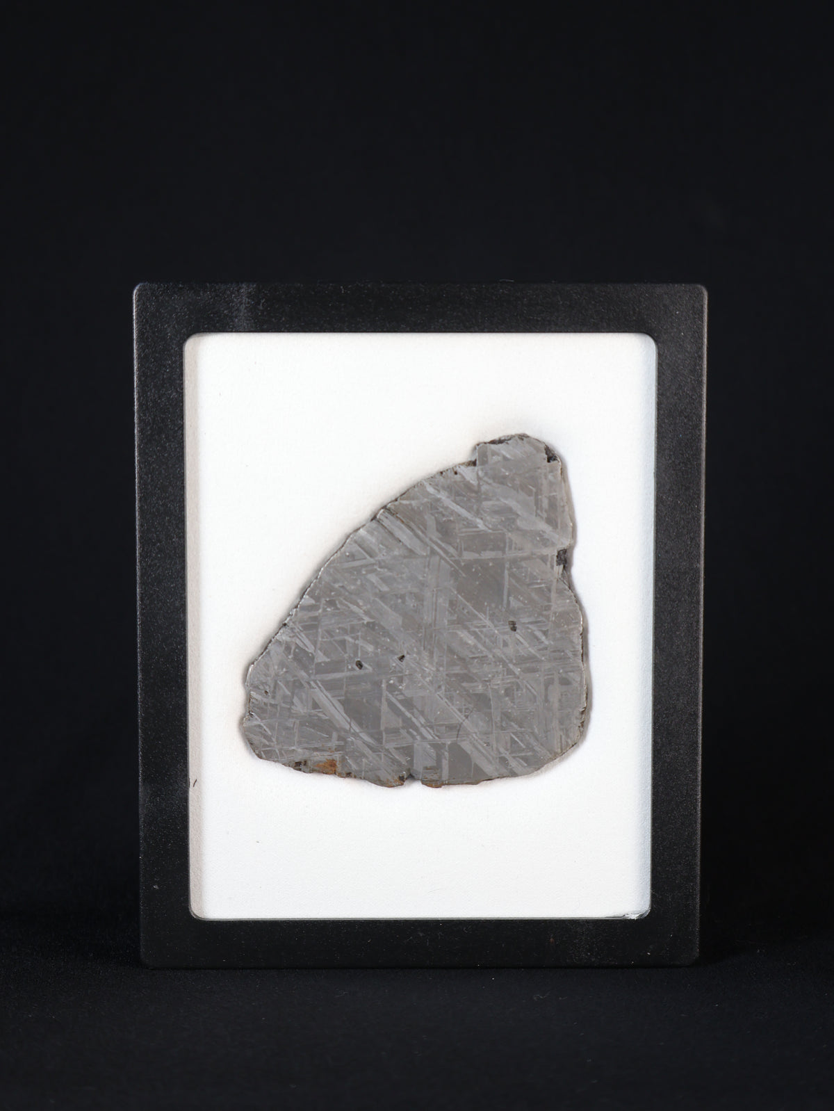 MUONIONALUSTA METEORITE, SWEDEN. 88,32 GRAMS SLICE.