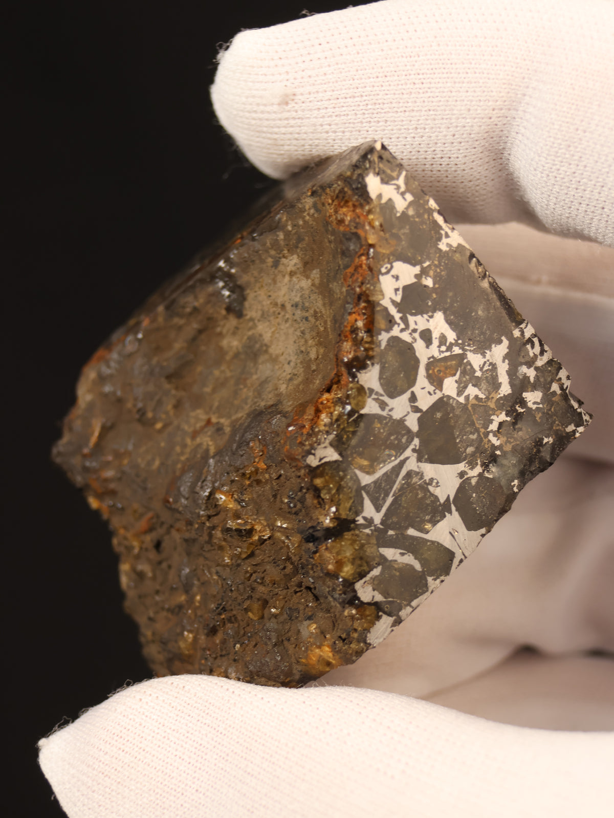 Seymchan meteorite, Russia. 95 grams end-cut.